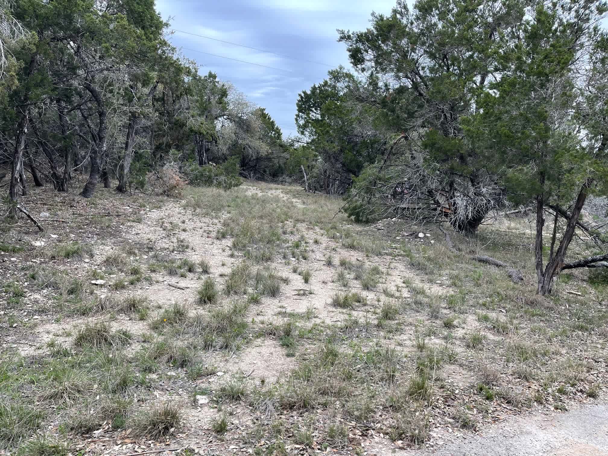 Hill Country Coyote Trails