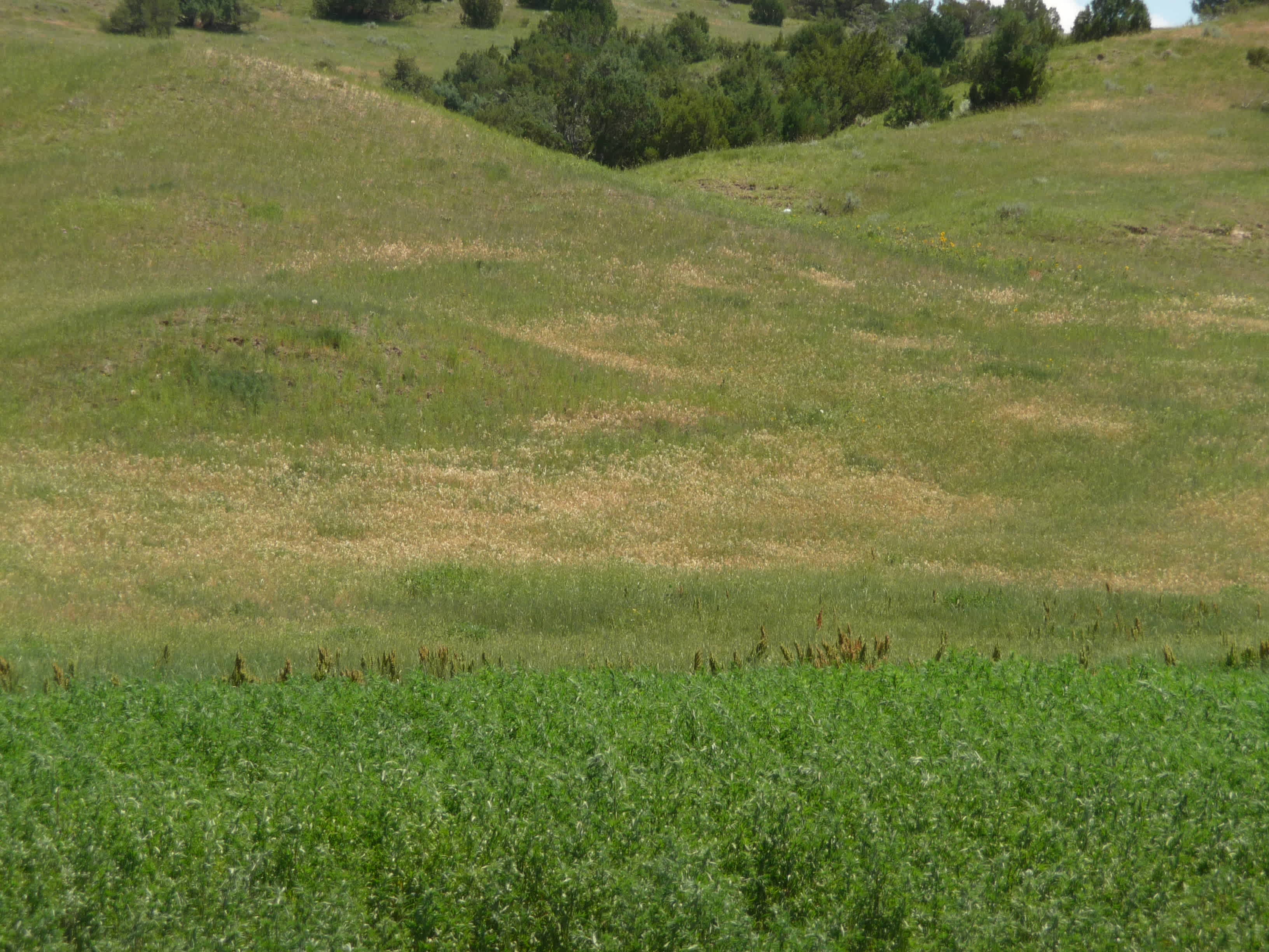 Home Ranch LLC