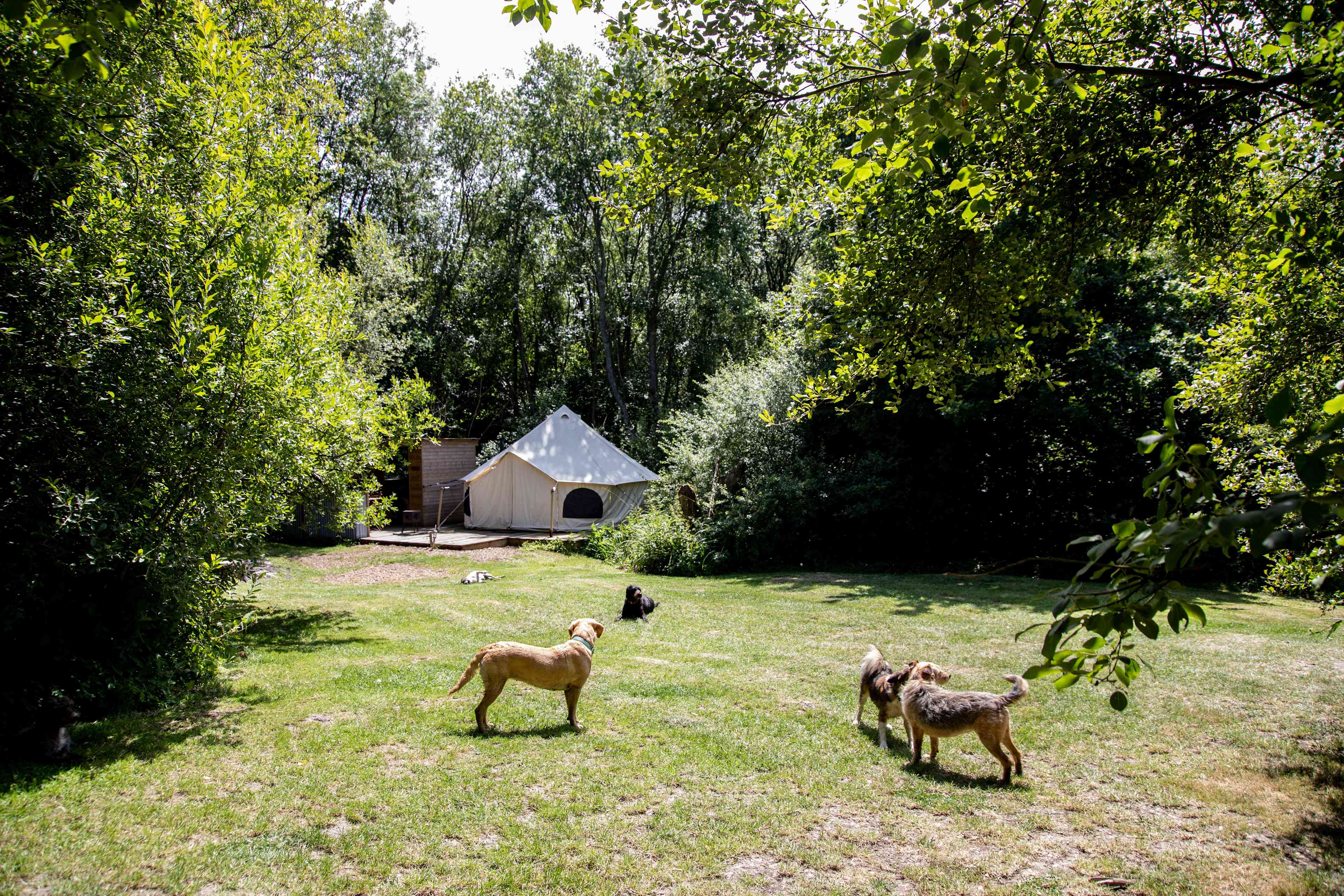 Dernwood Farm Wild Camping
