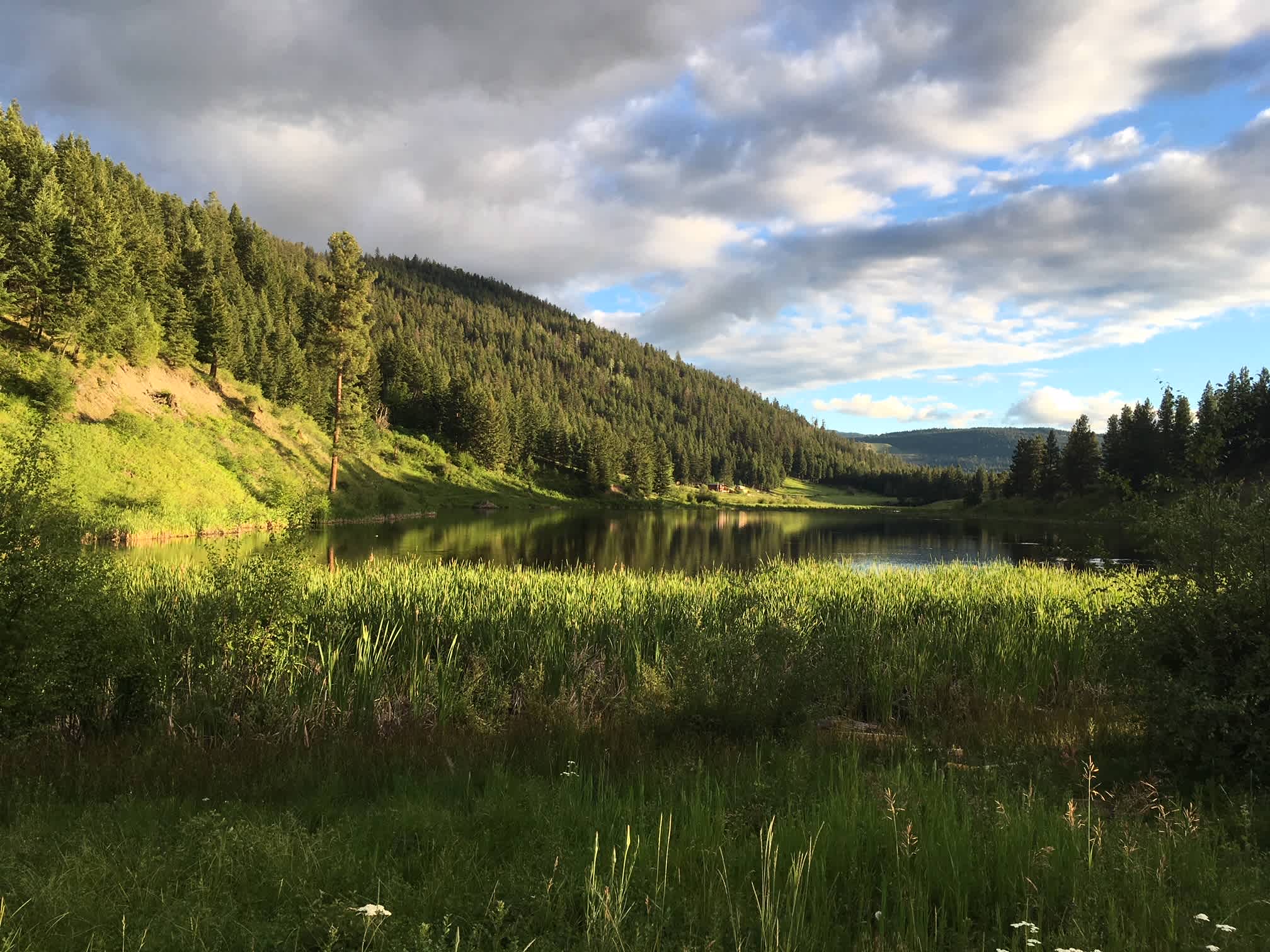Lots of great hiking on old forestry skid trails surrounding the lake