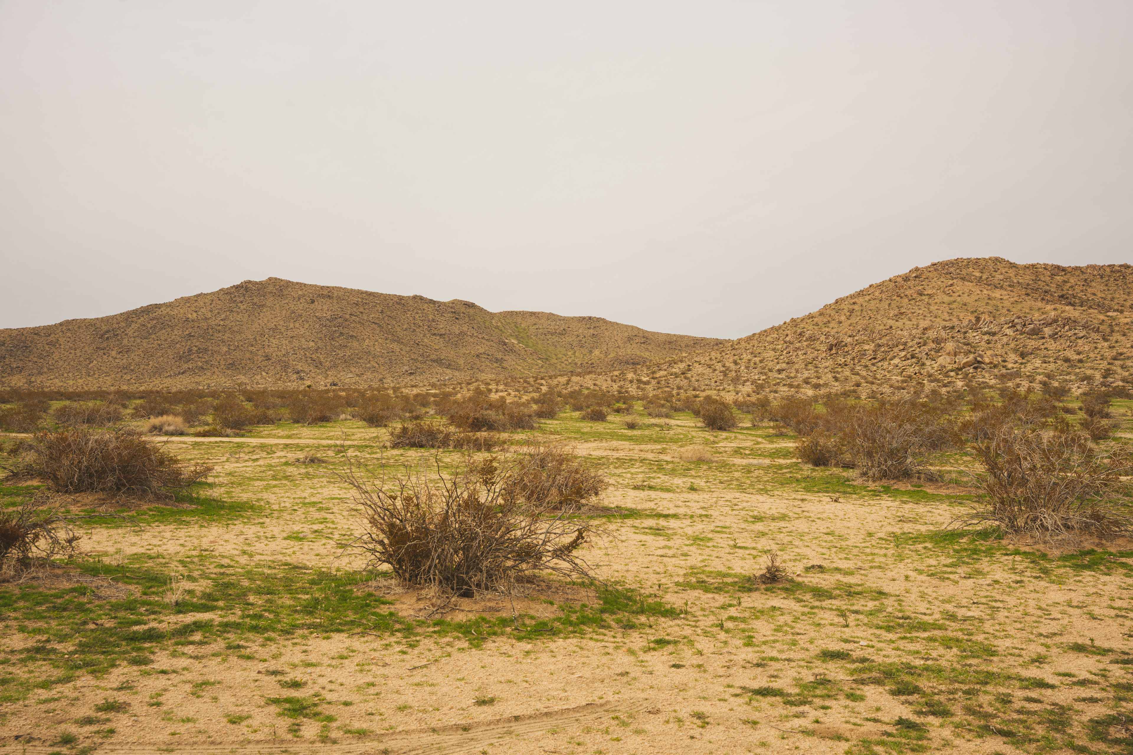 Large Desert with a Gorgeous View!