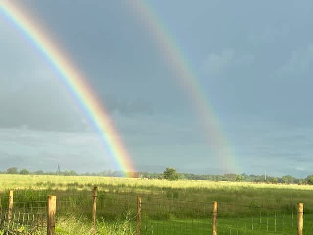 Stowell Away Farm