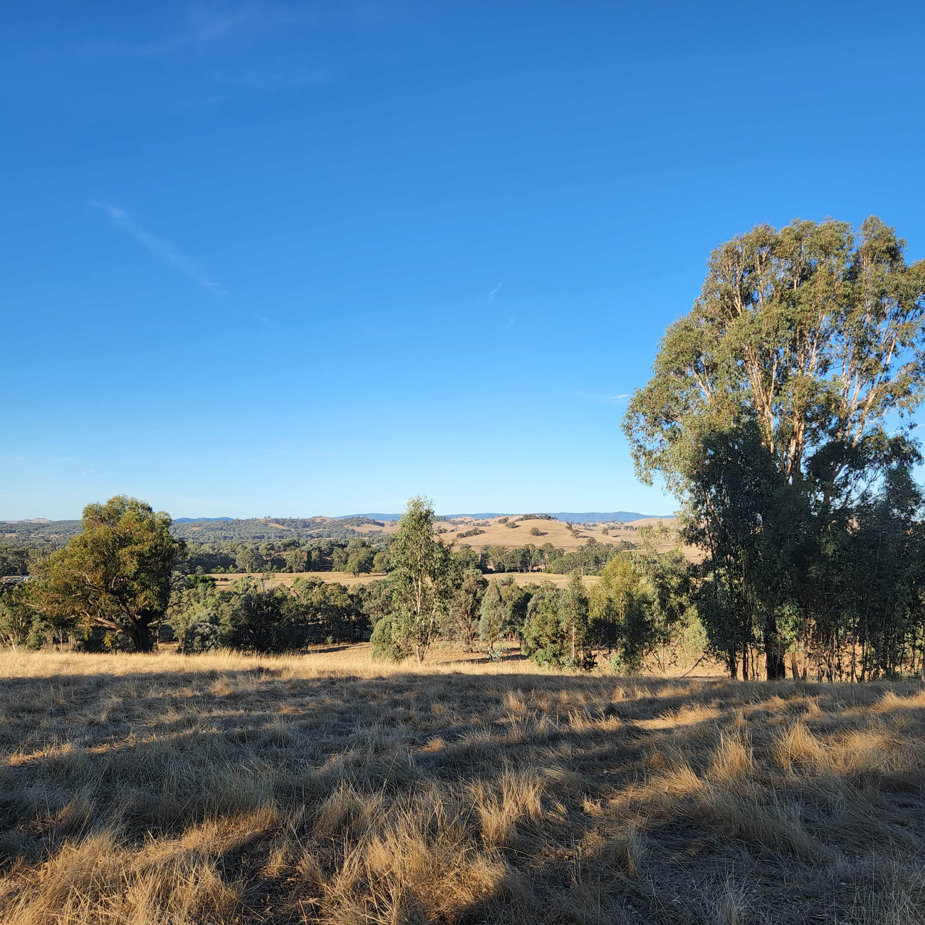 Farm Views