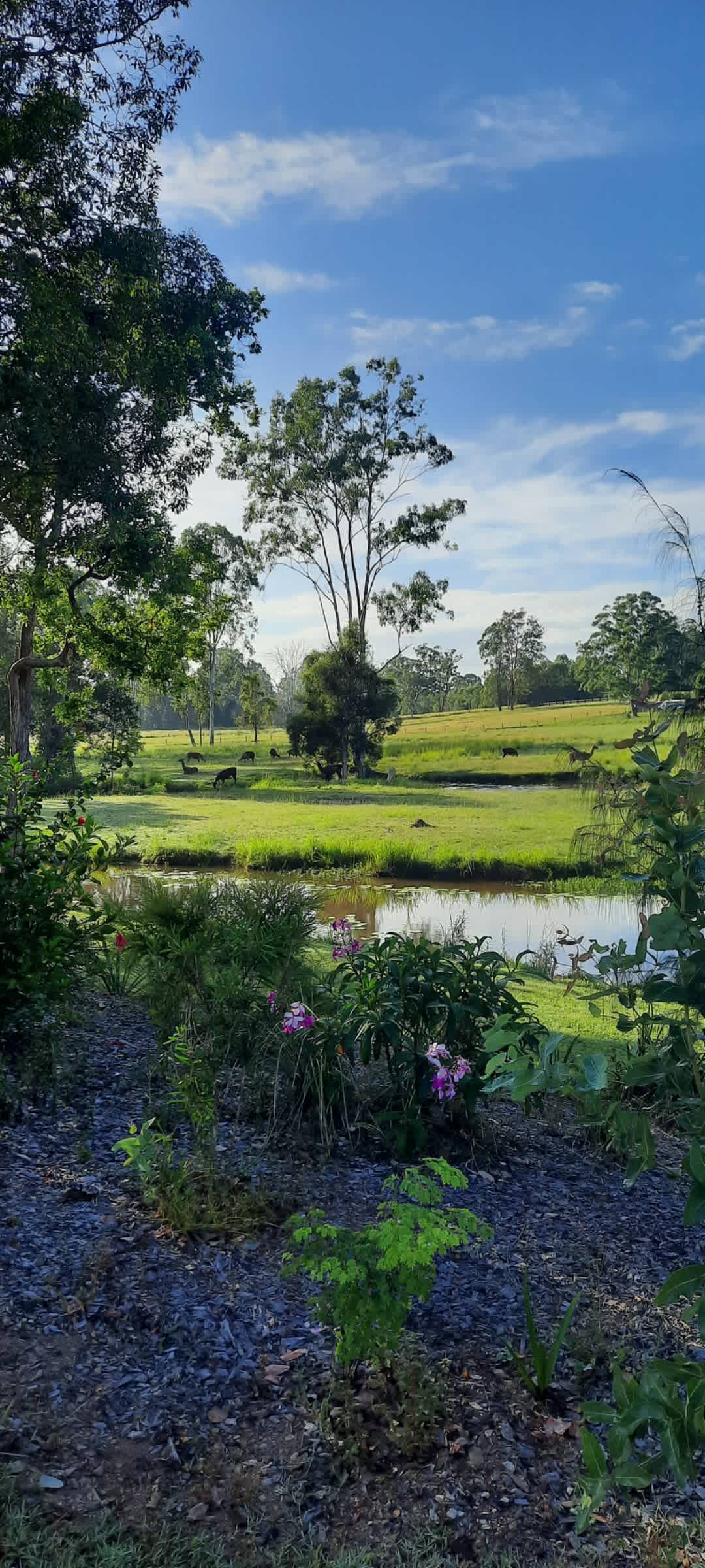 Macallon Farm Stay