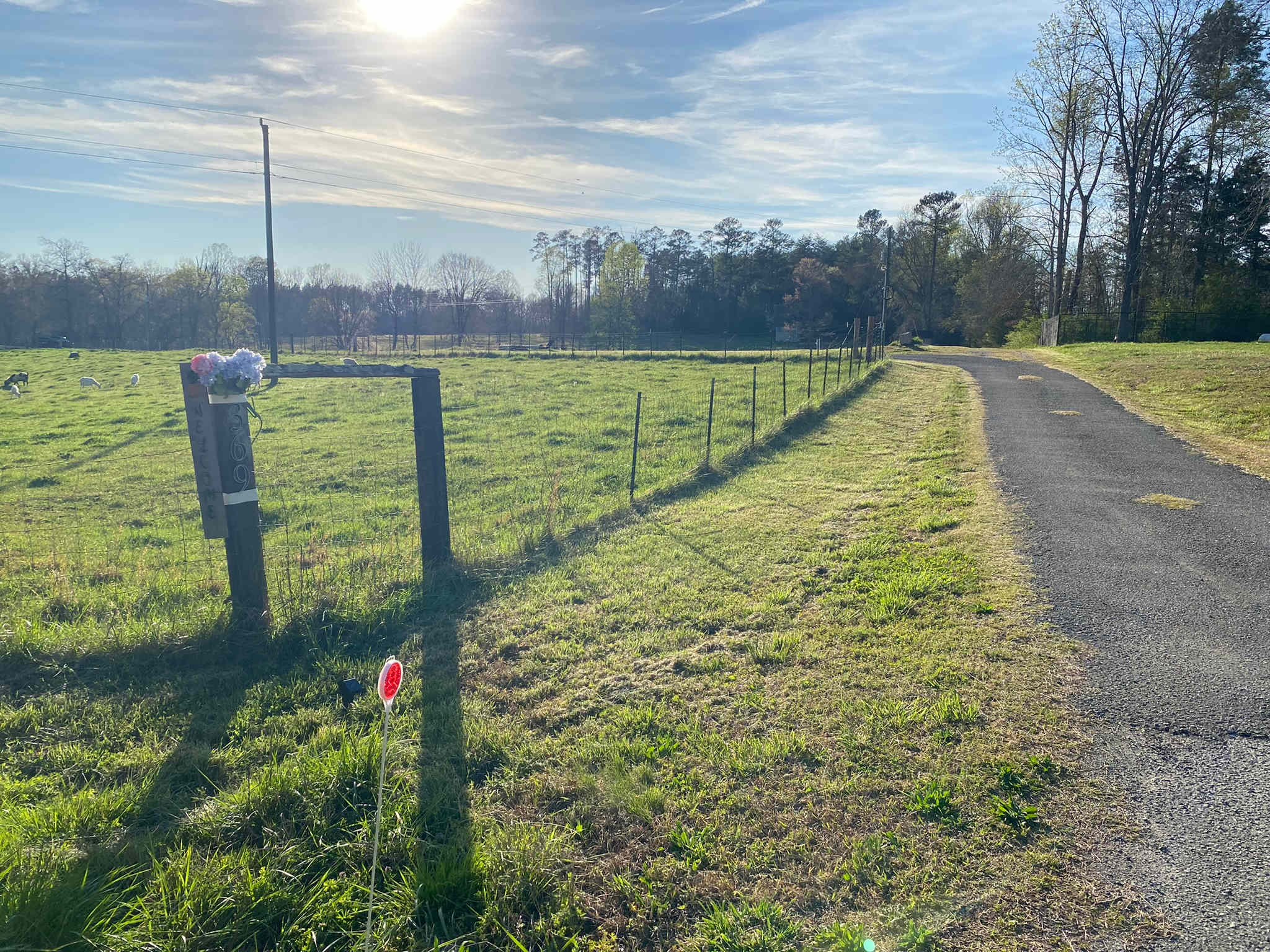 Another view of driveway