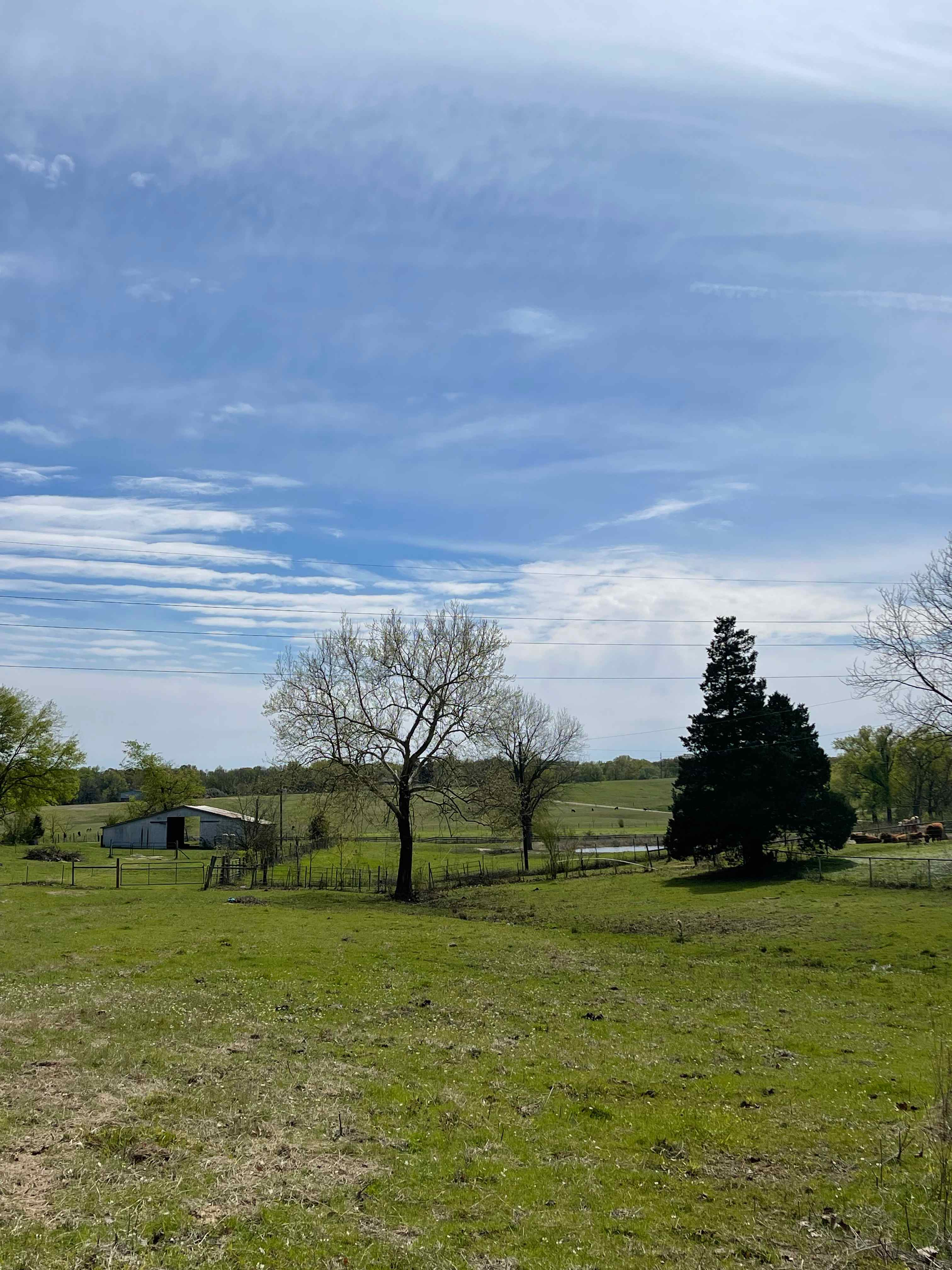 News Ranch