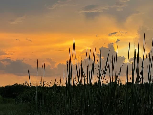 Saint Lucie Farm Preserve