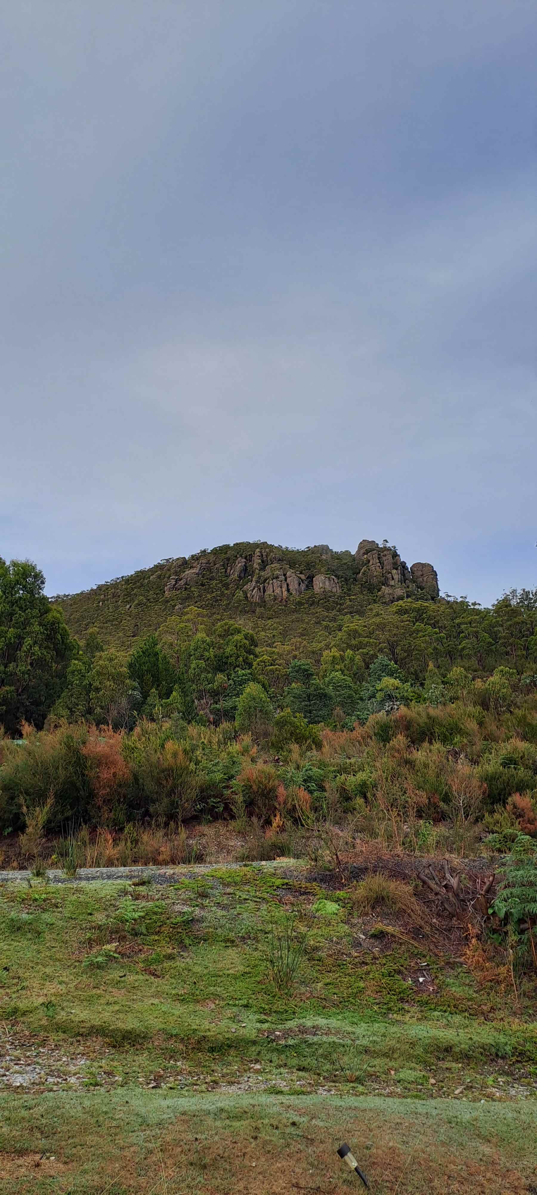 View around