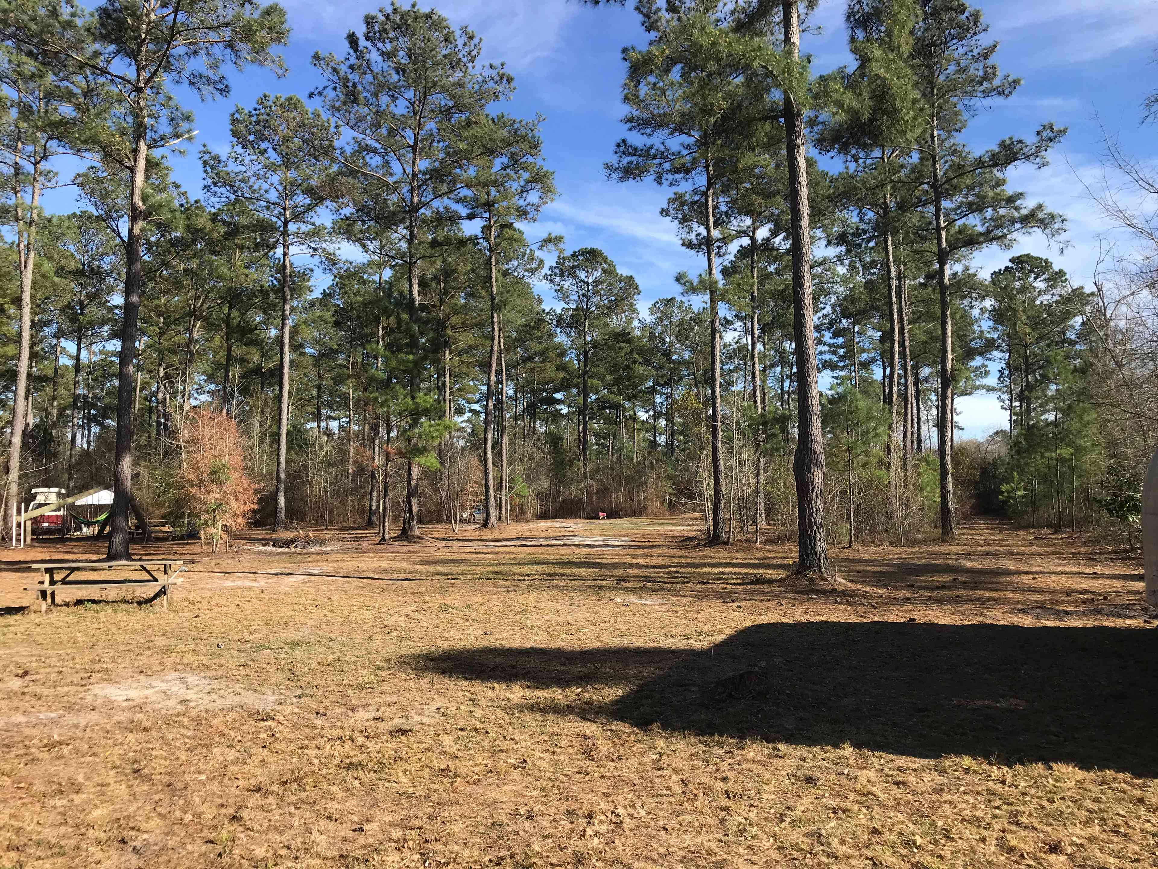 Charlotte's Whispering Pine Farm
