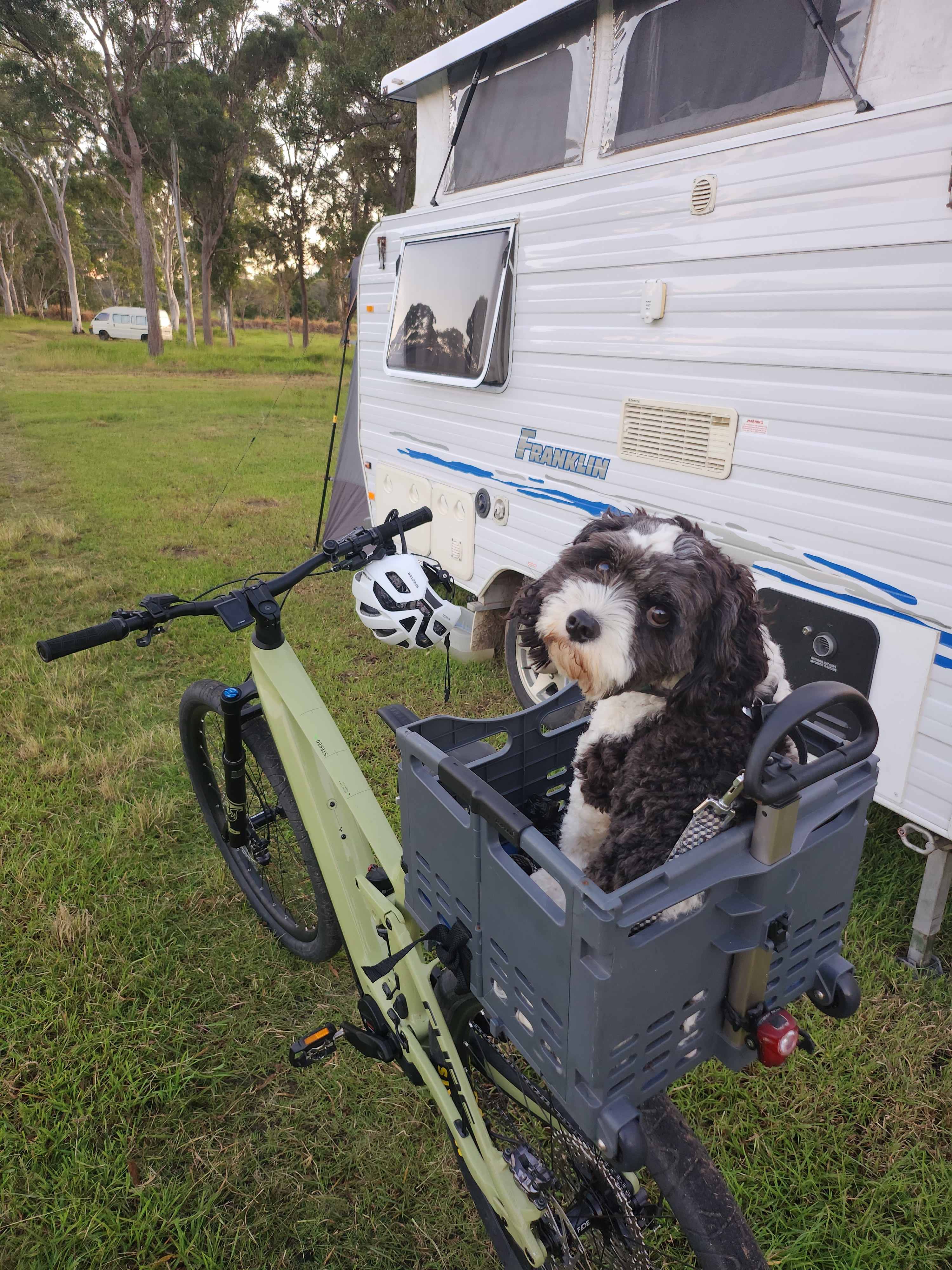 Carlton Farm, Hervey Bay