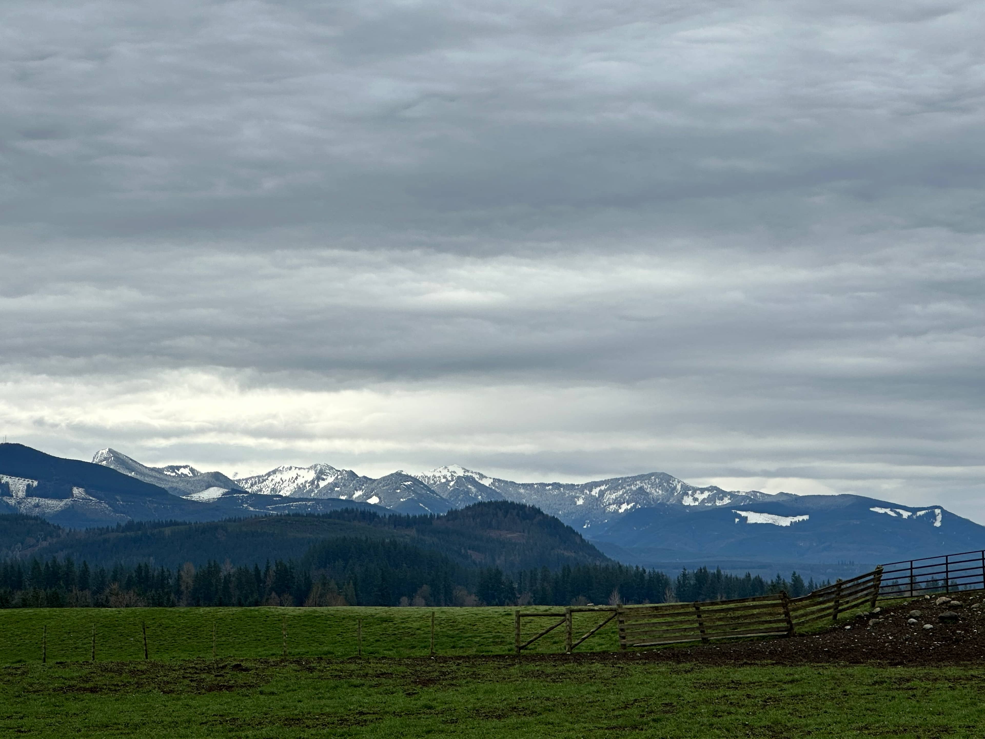 Blue Mist Farm