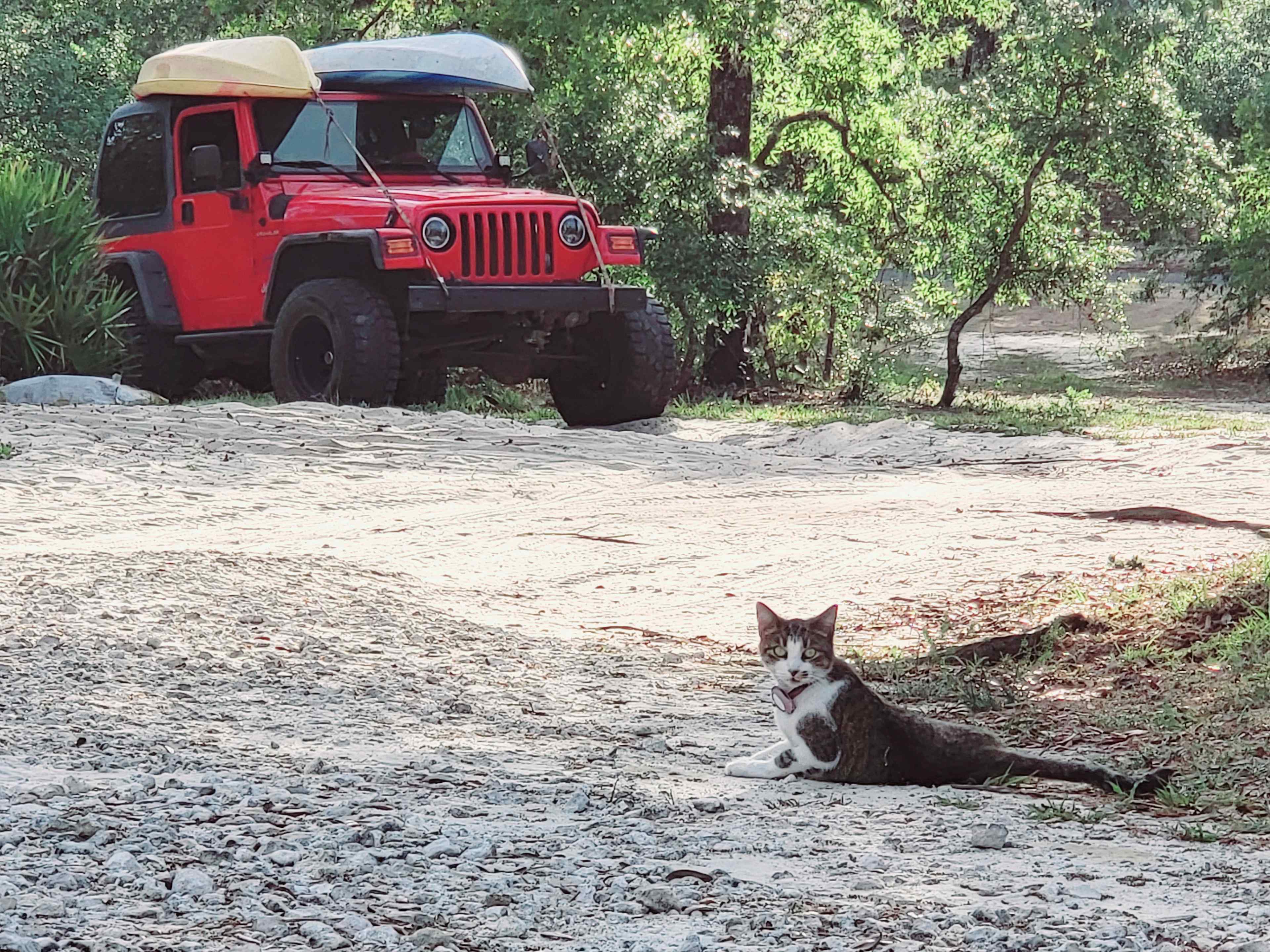 Happy Campers Rescue Ranch