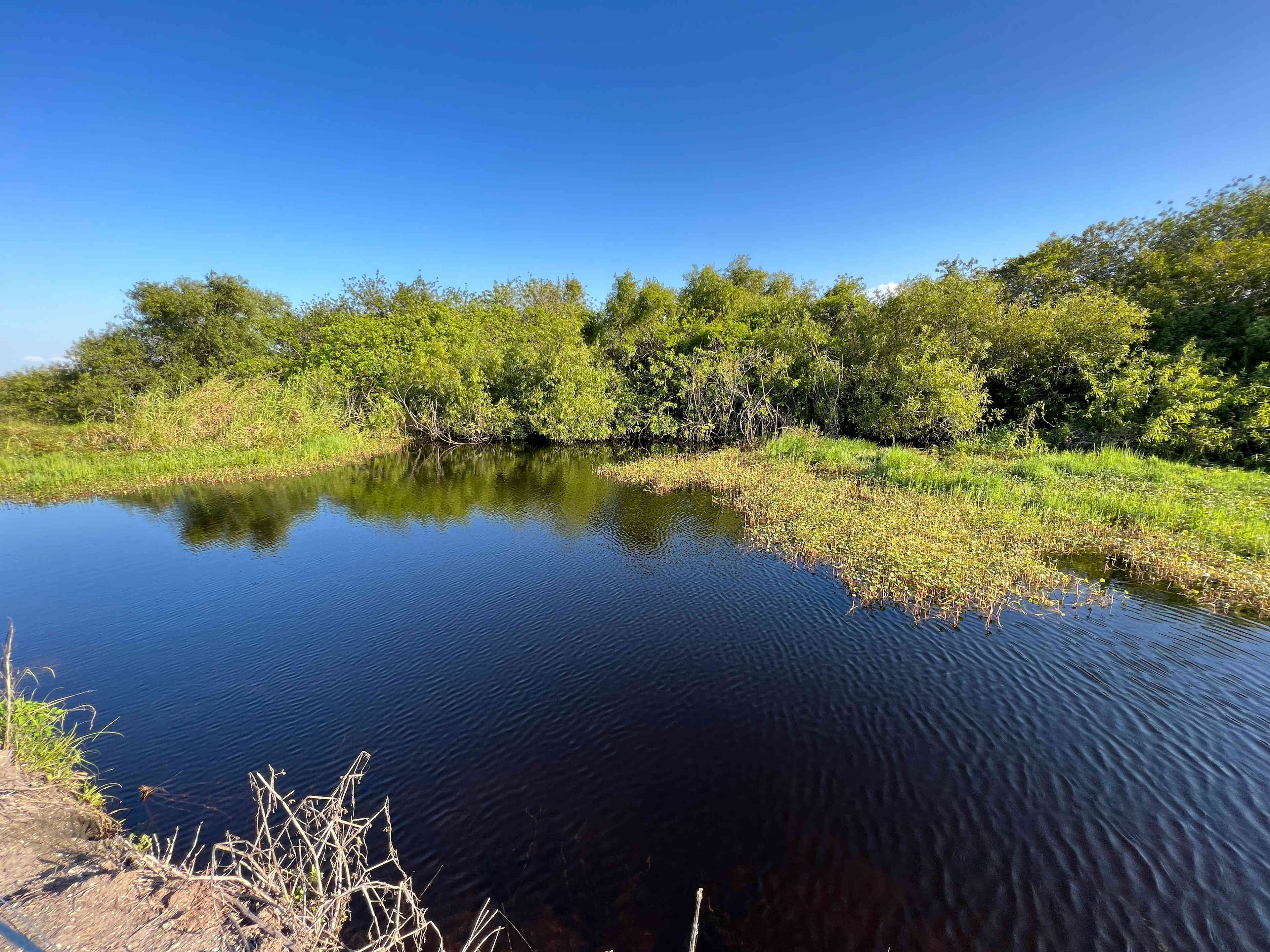 Pond at the entrance.