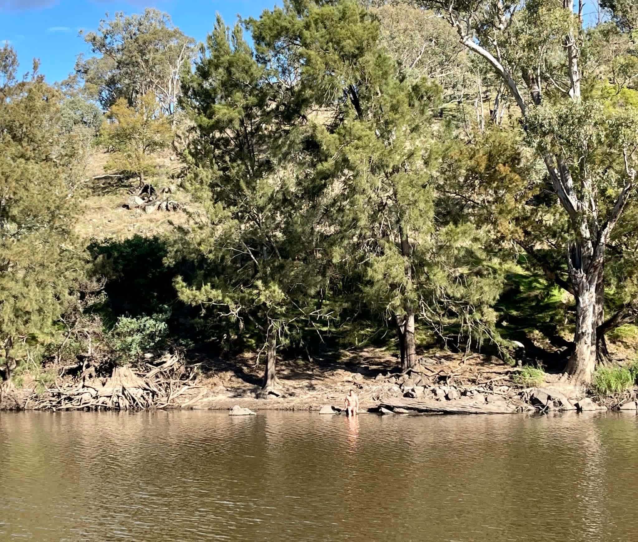 Jarabin on the Murrumbidgee