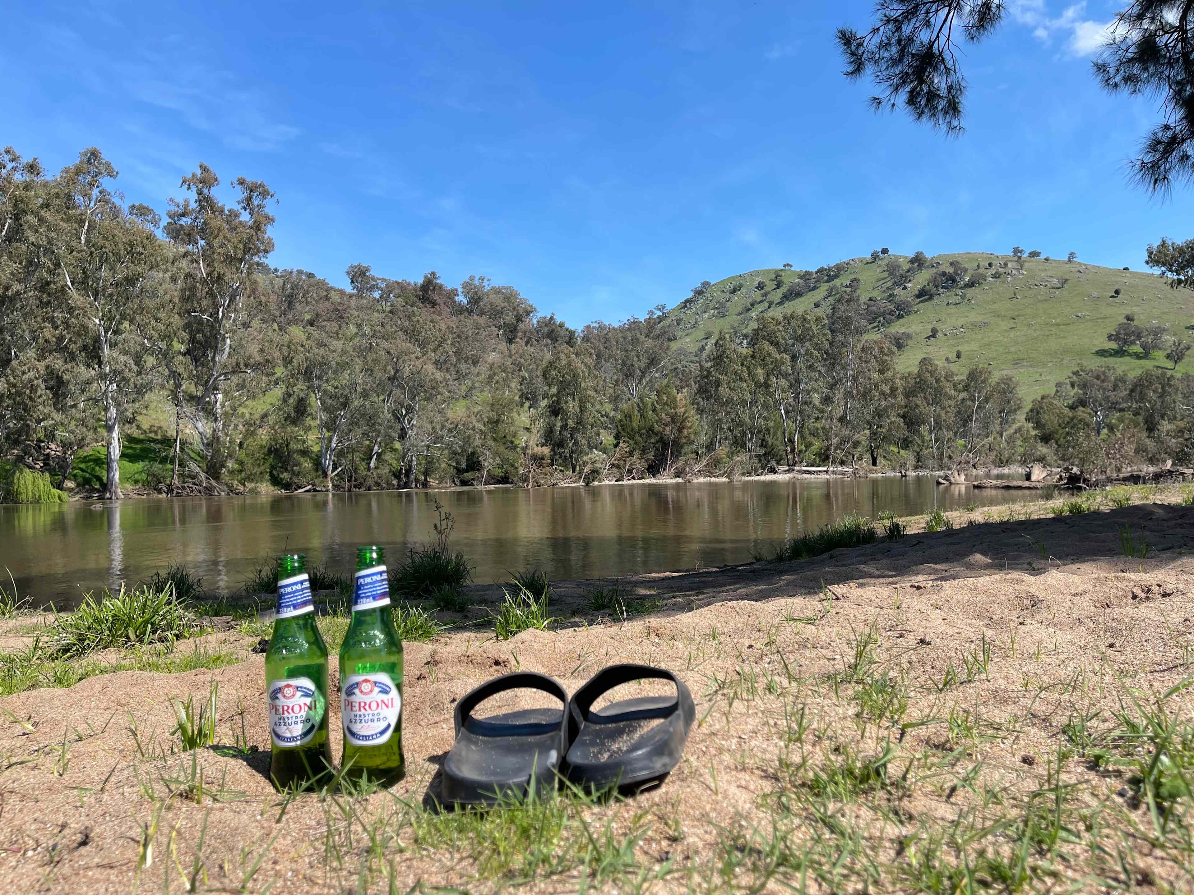 Jarabin on the Murrumbidgee
