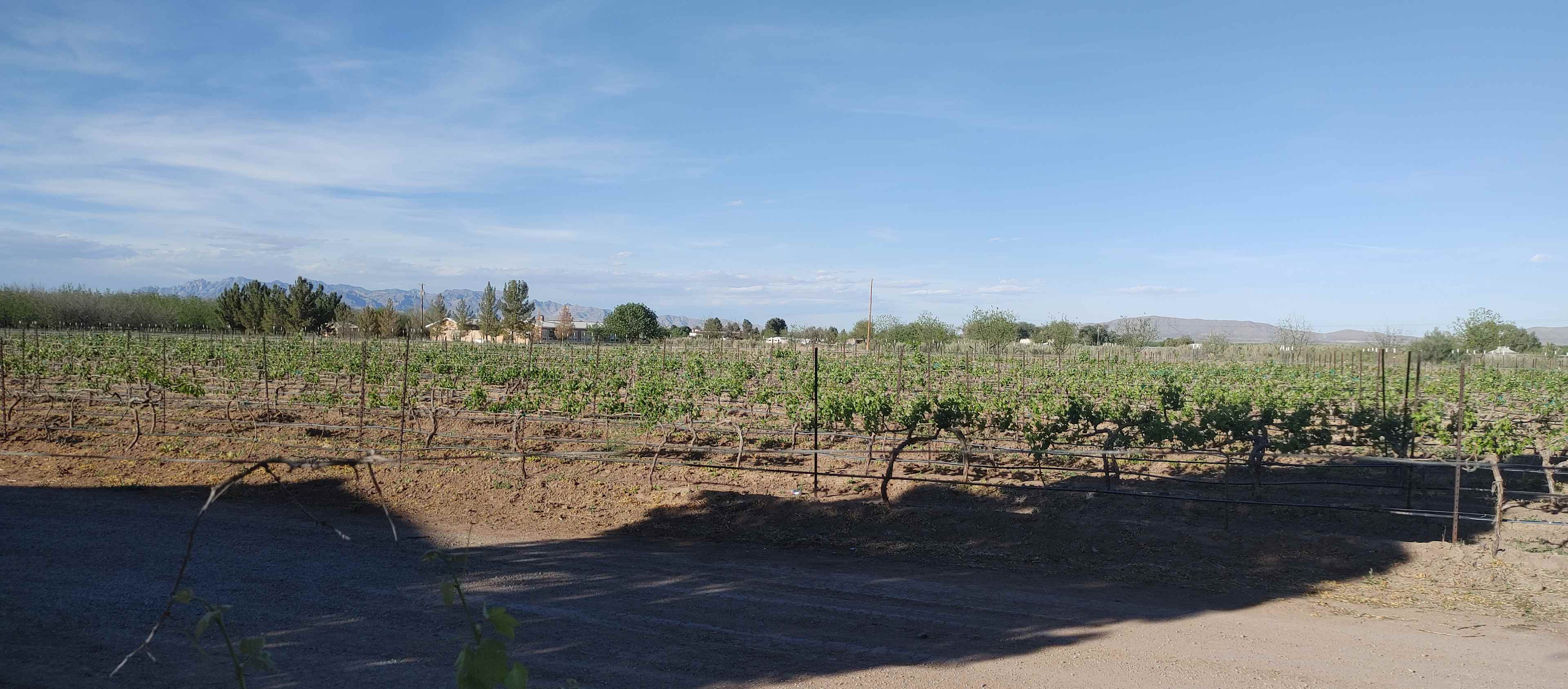 La Vina rd