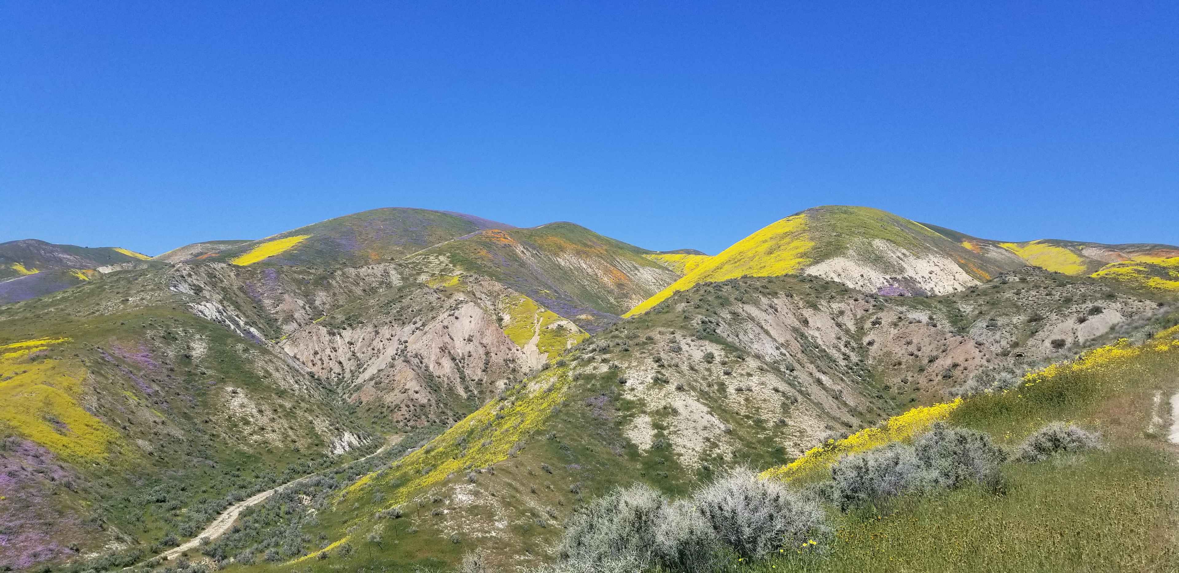 Super Boom in Carrizo Plain National Monument 