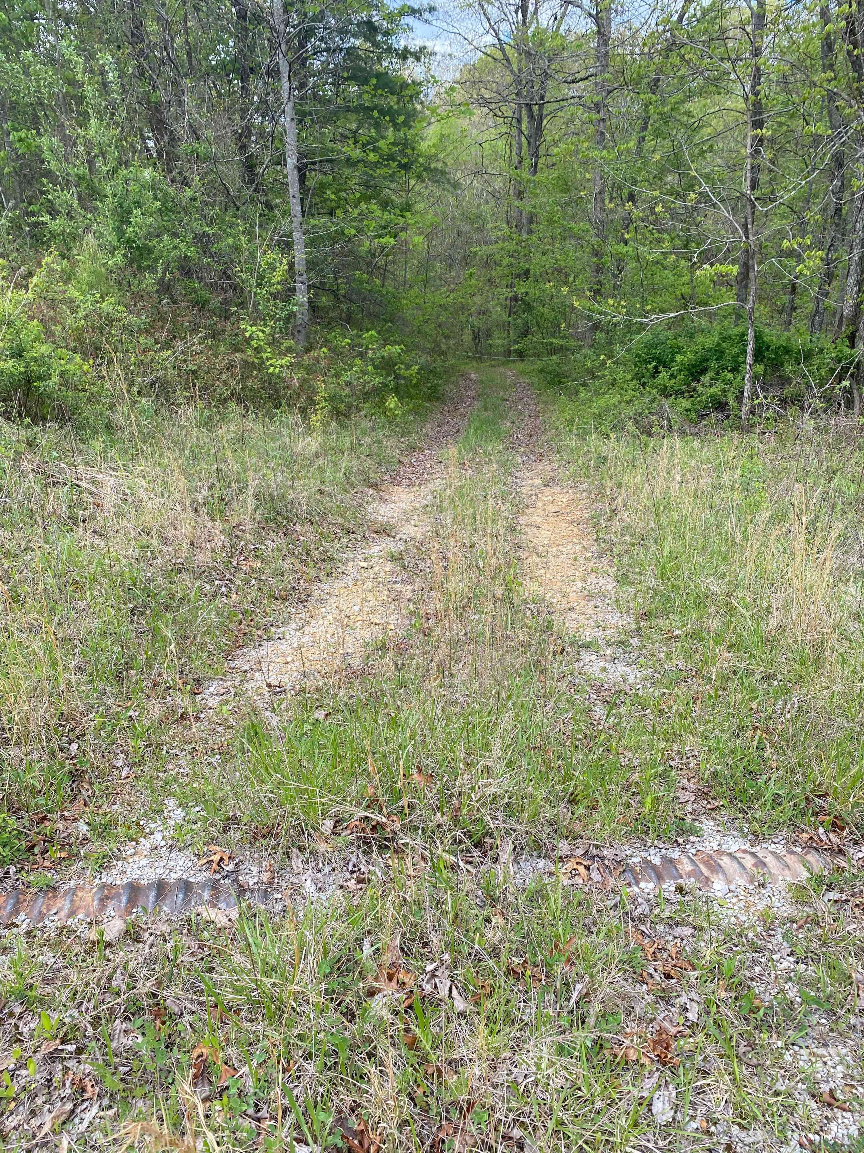 Petersville Campground
