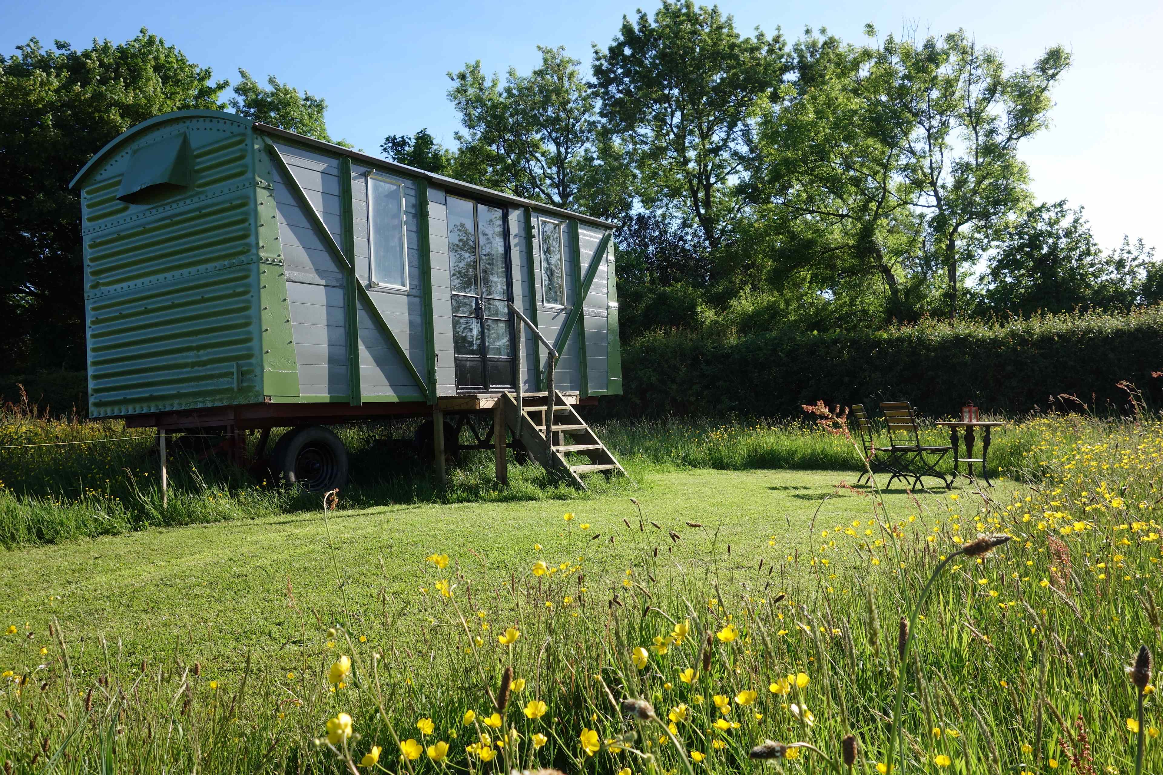 Cadora Woods Glamping