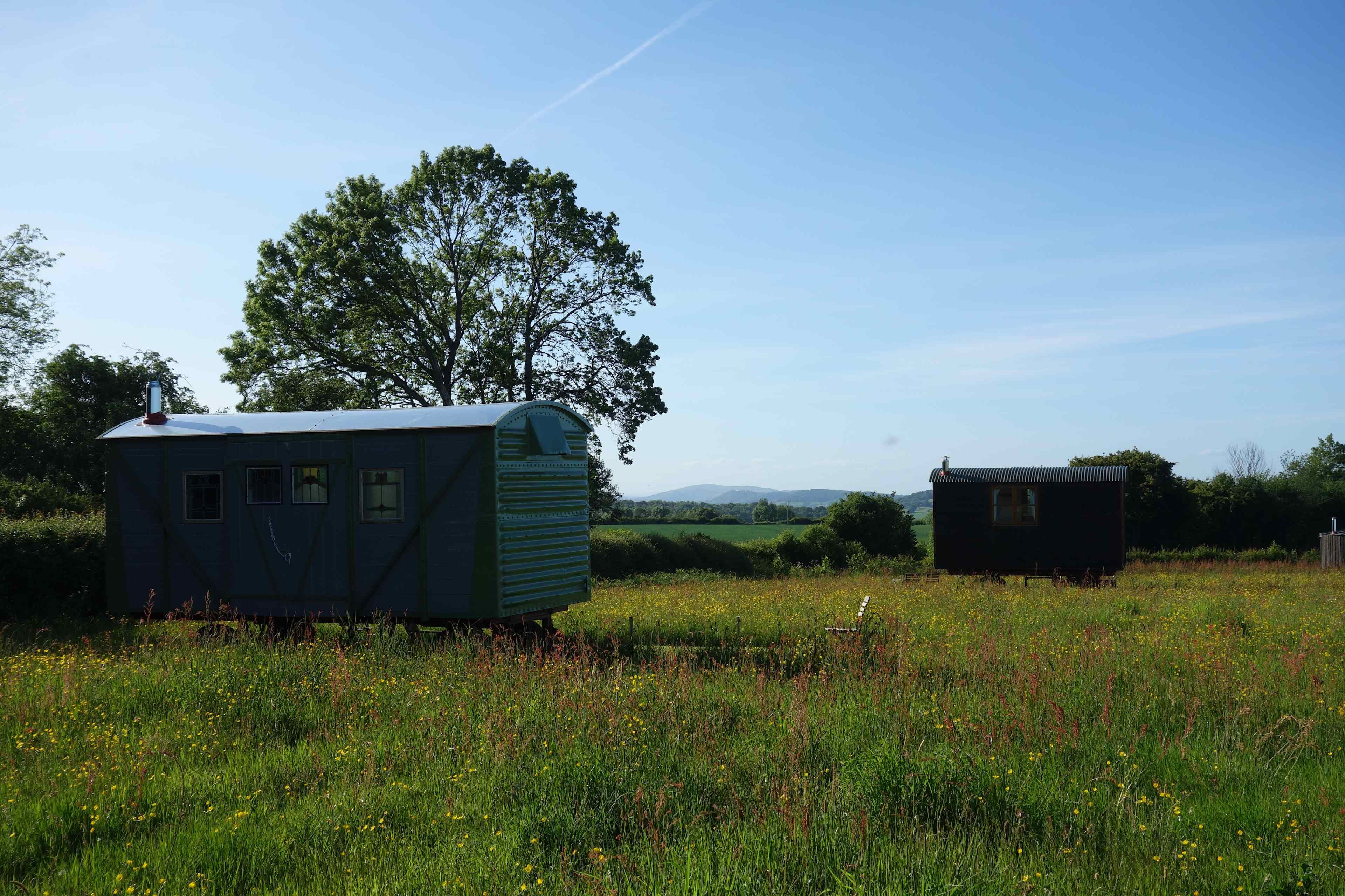 Cadora Woods Glamping