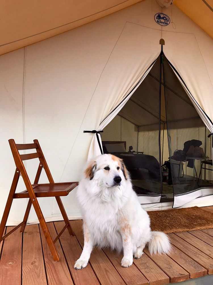 Rustic Rook Resort