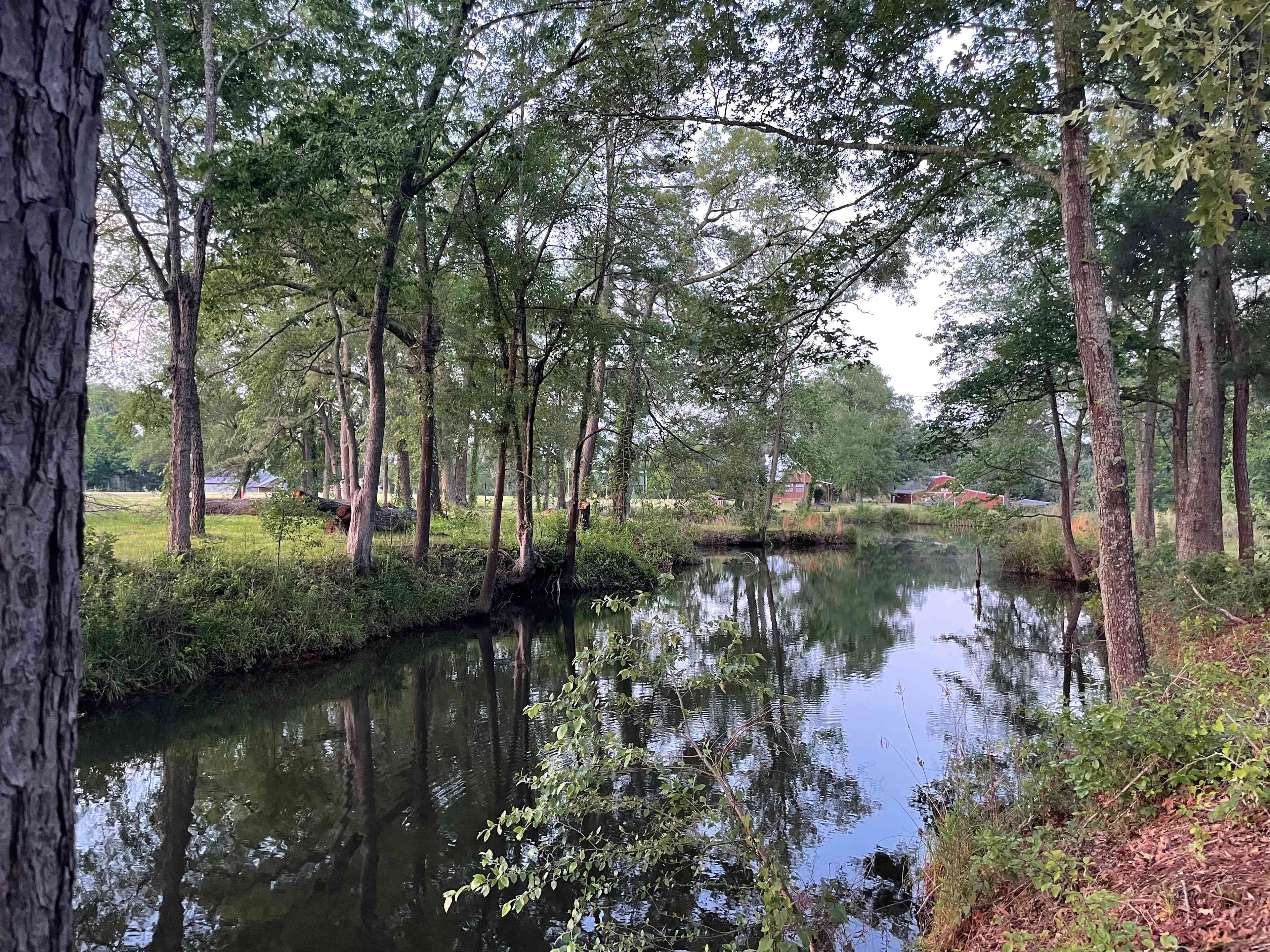 Caddo Springs Farm