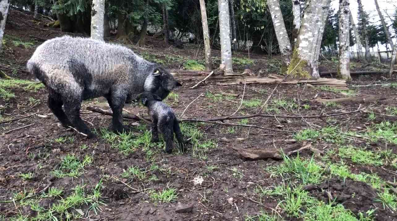 Marilyn and her newborn baby girl, Casady, April 2022
