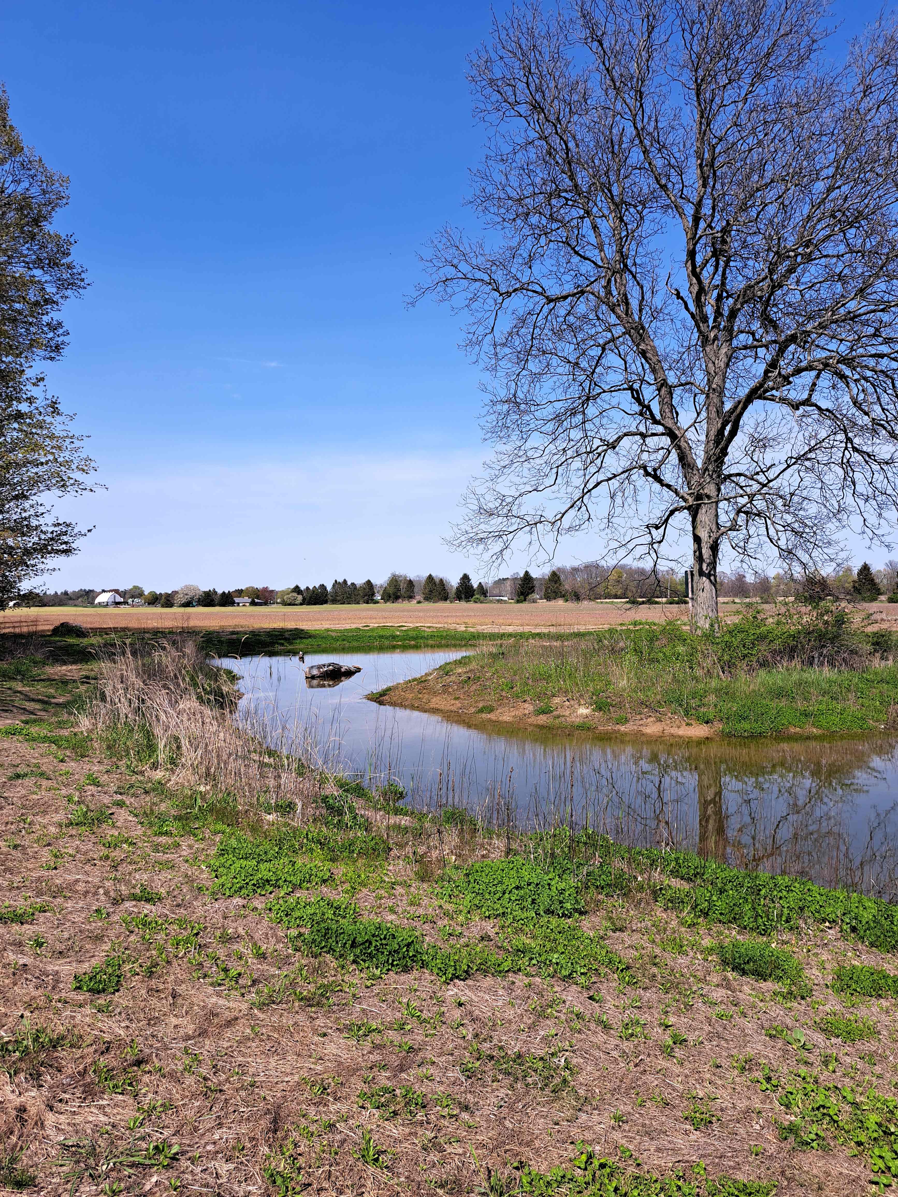Howeholm Farm