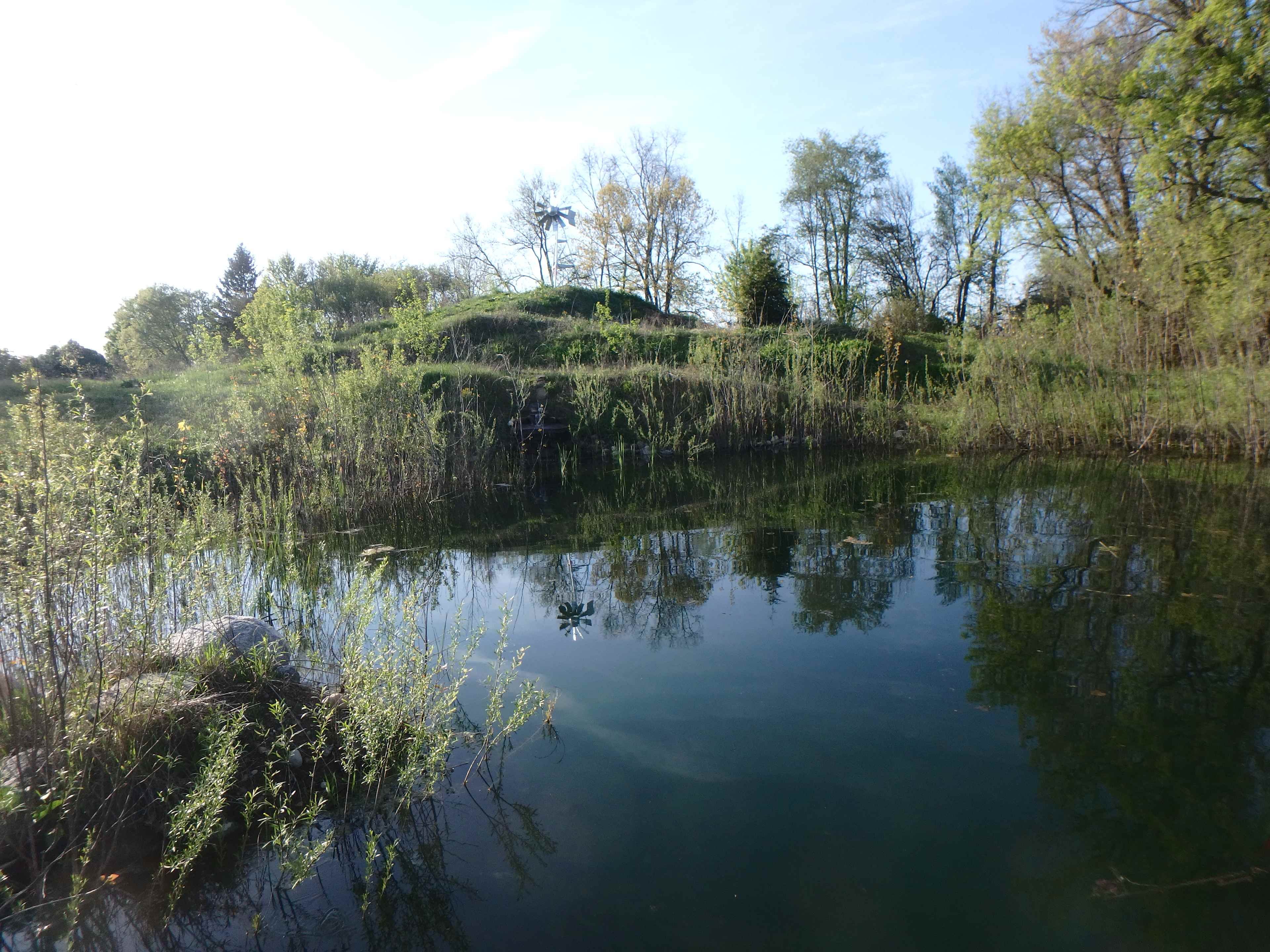 Small pond you might see on your morning jog.