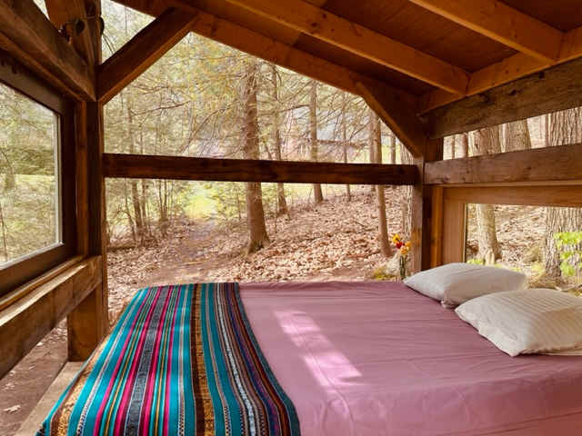Forest Hut in Western Mass