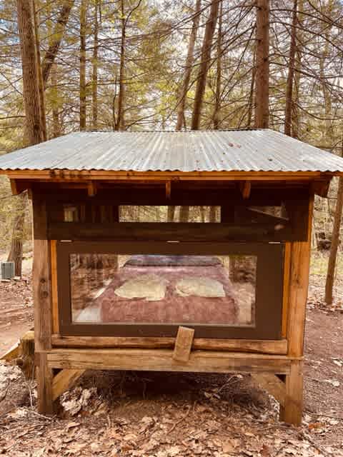 Forest Hut in Western Mass