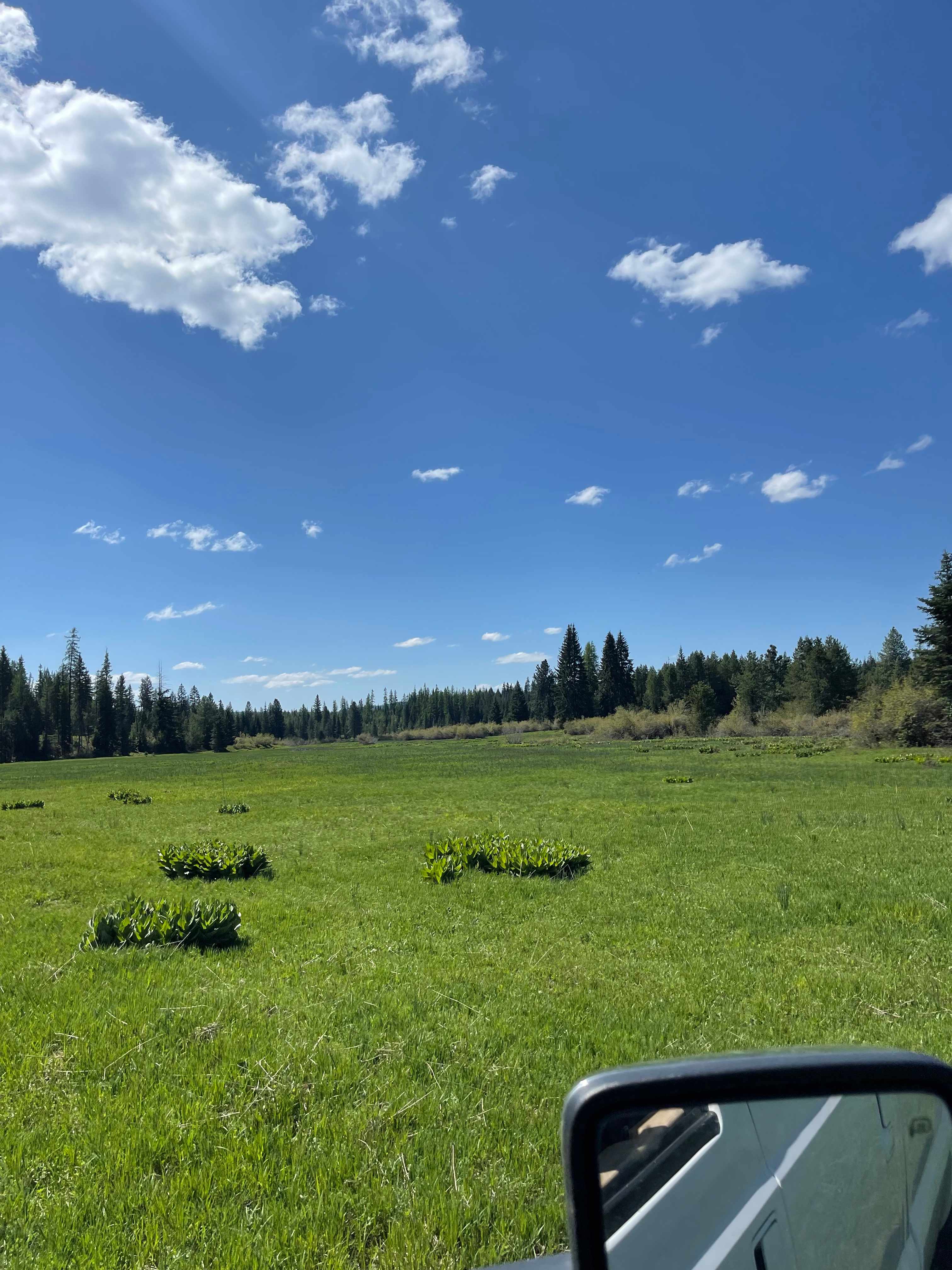 Butterfield Meadows