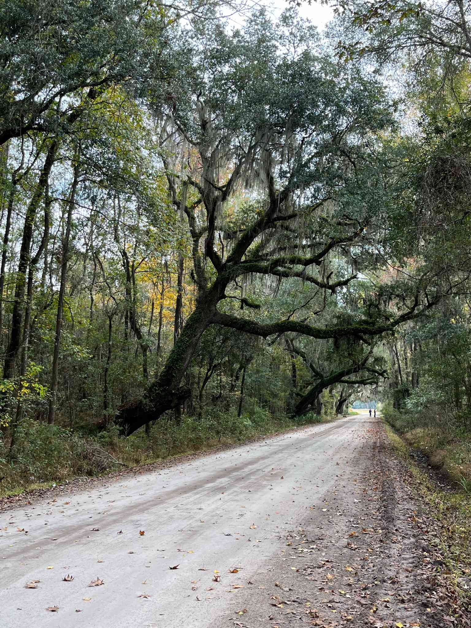 Cassabl Farm