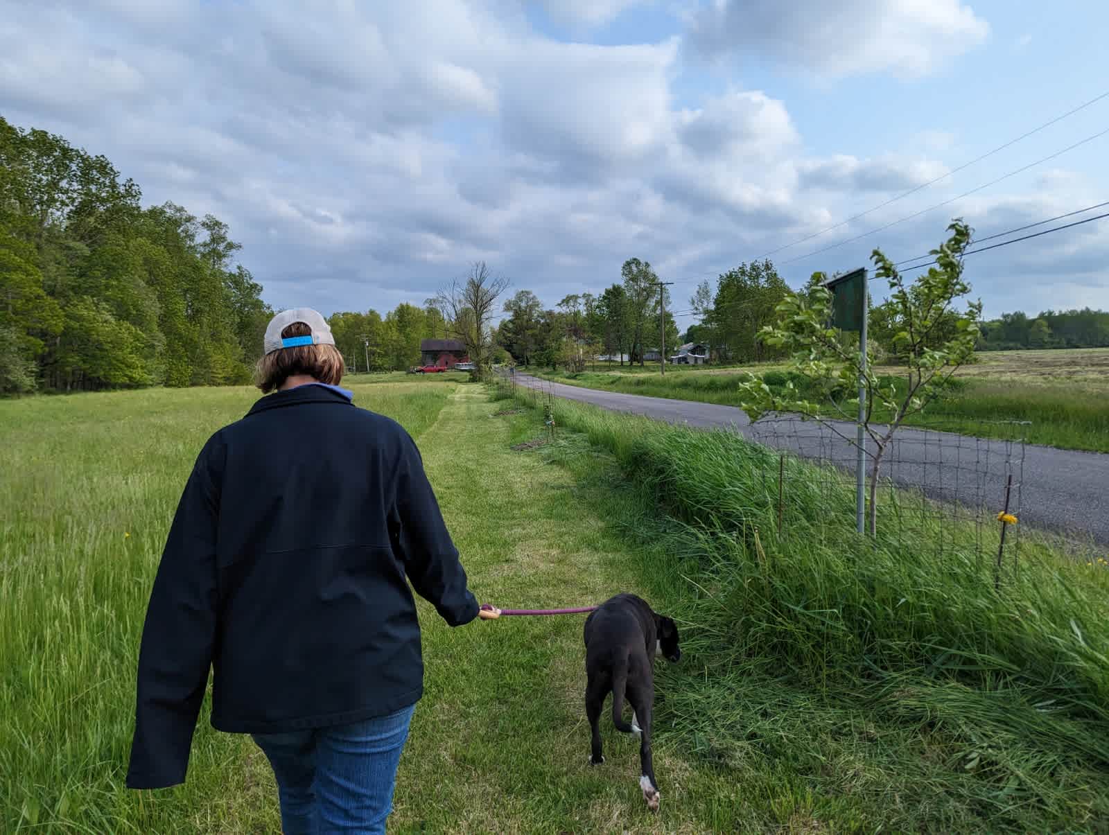 Finishing leg of nature trail