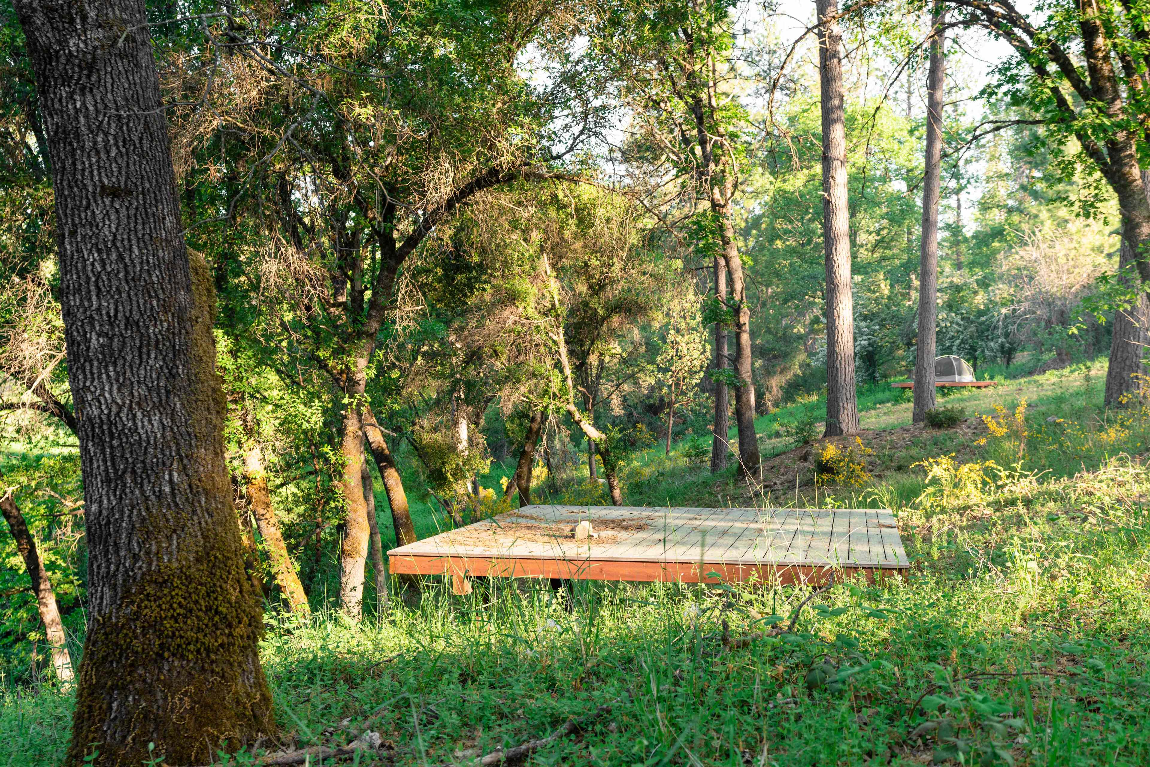 Tent platform 3