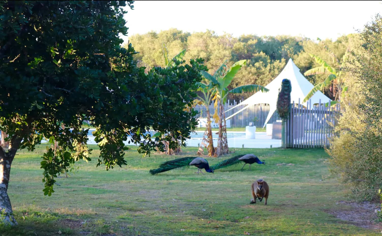 Sugar Beach Ranch - Horse Holidays