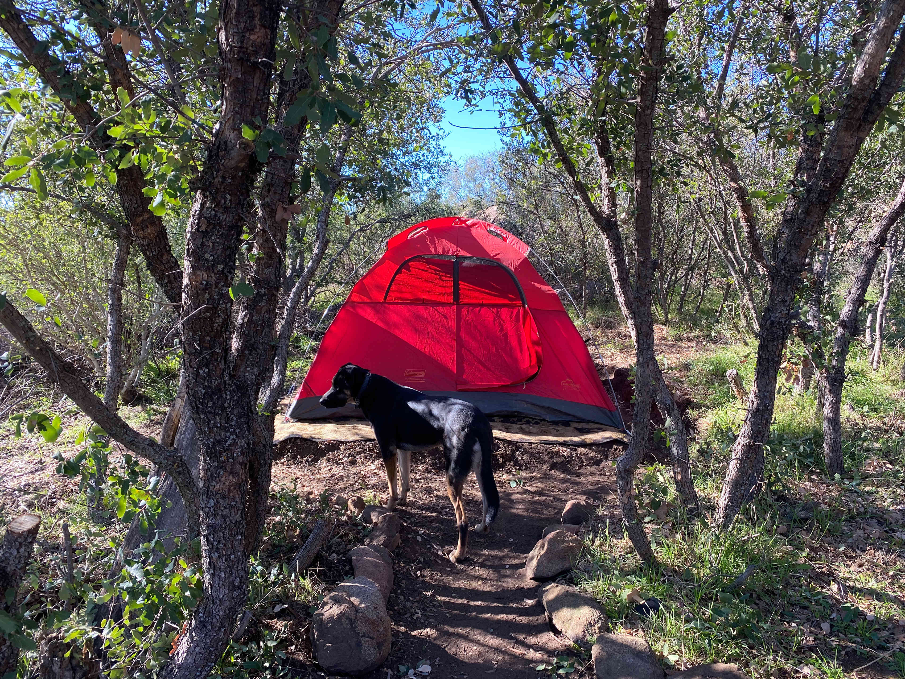 Adjacent camp site is perfect for including more 2 more guests. Bring your own tent or rent one from us!