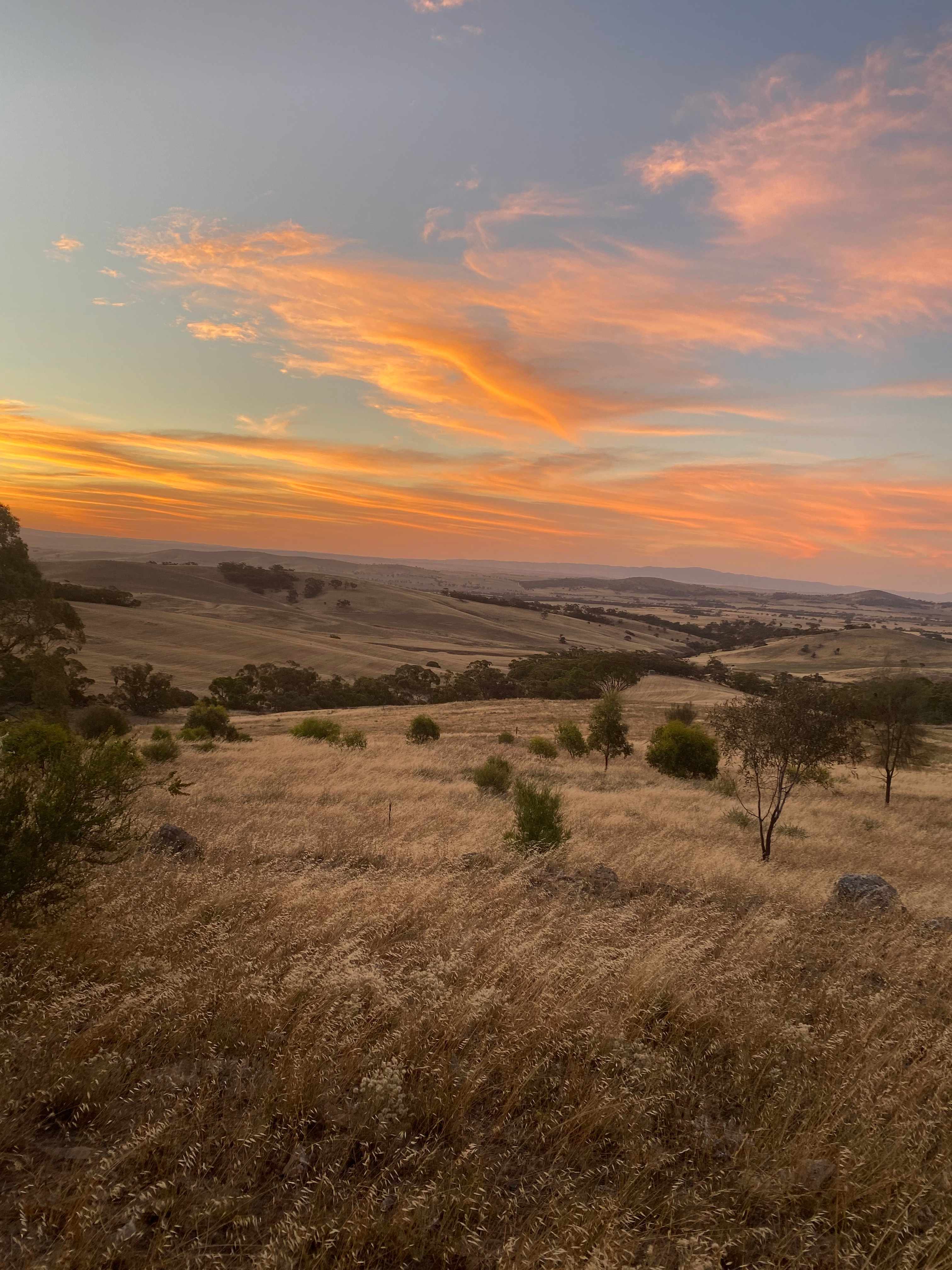 A sunset view