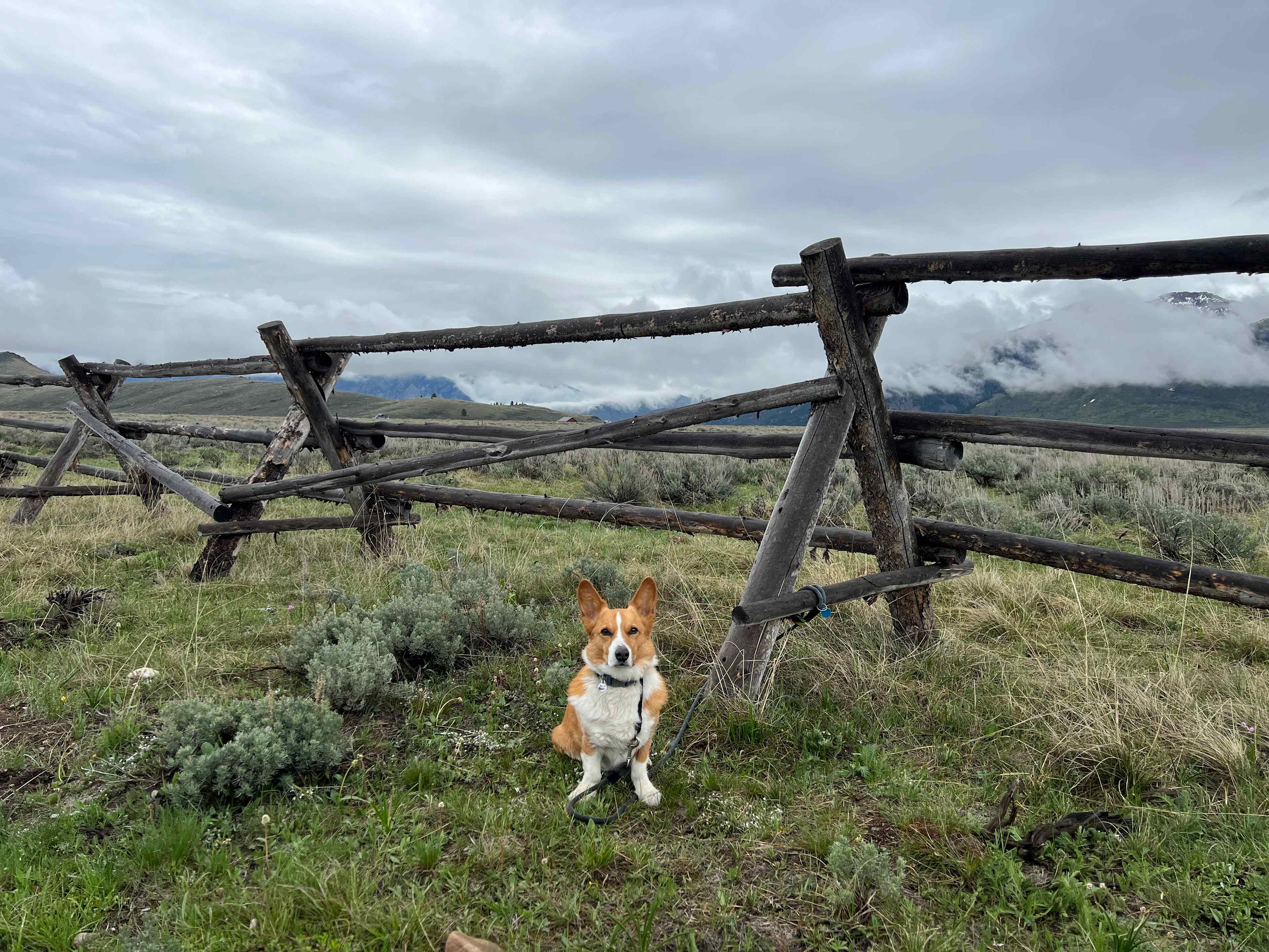 Yellowstone's Home-Base Hookups
