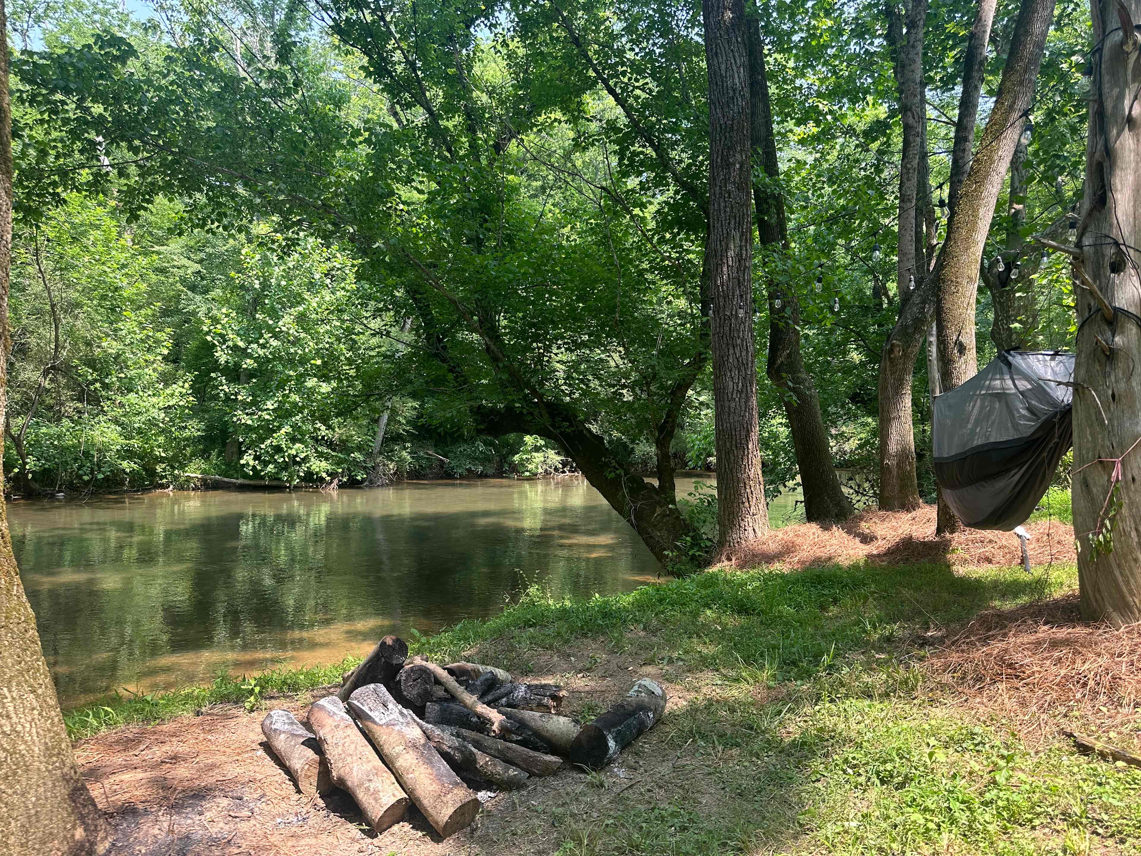 Firefly on Big Cedar