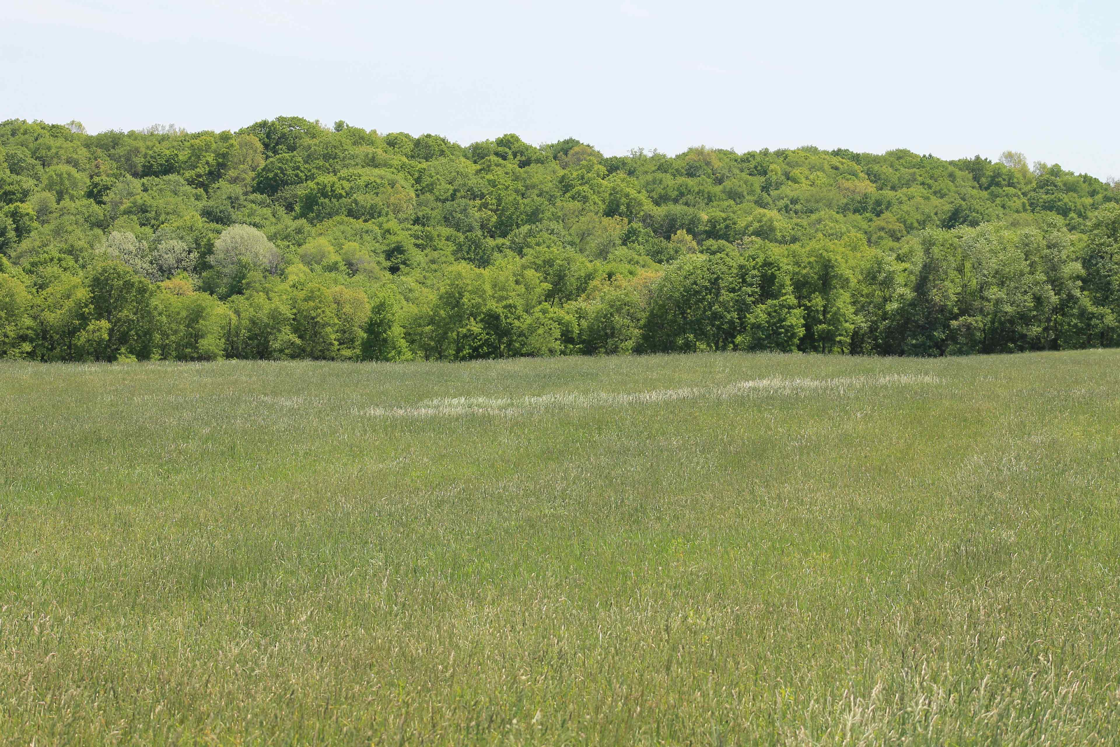 Firm Foundation Farm