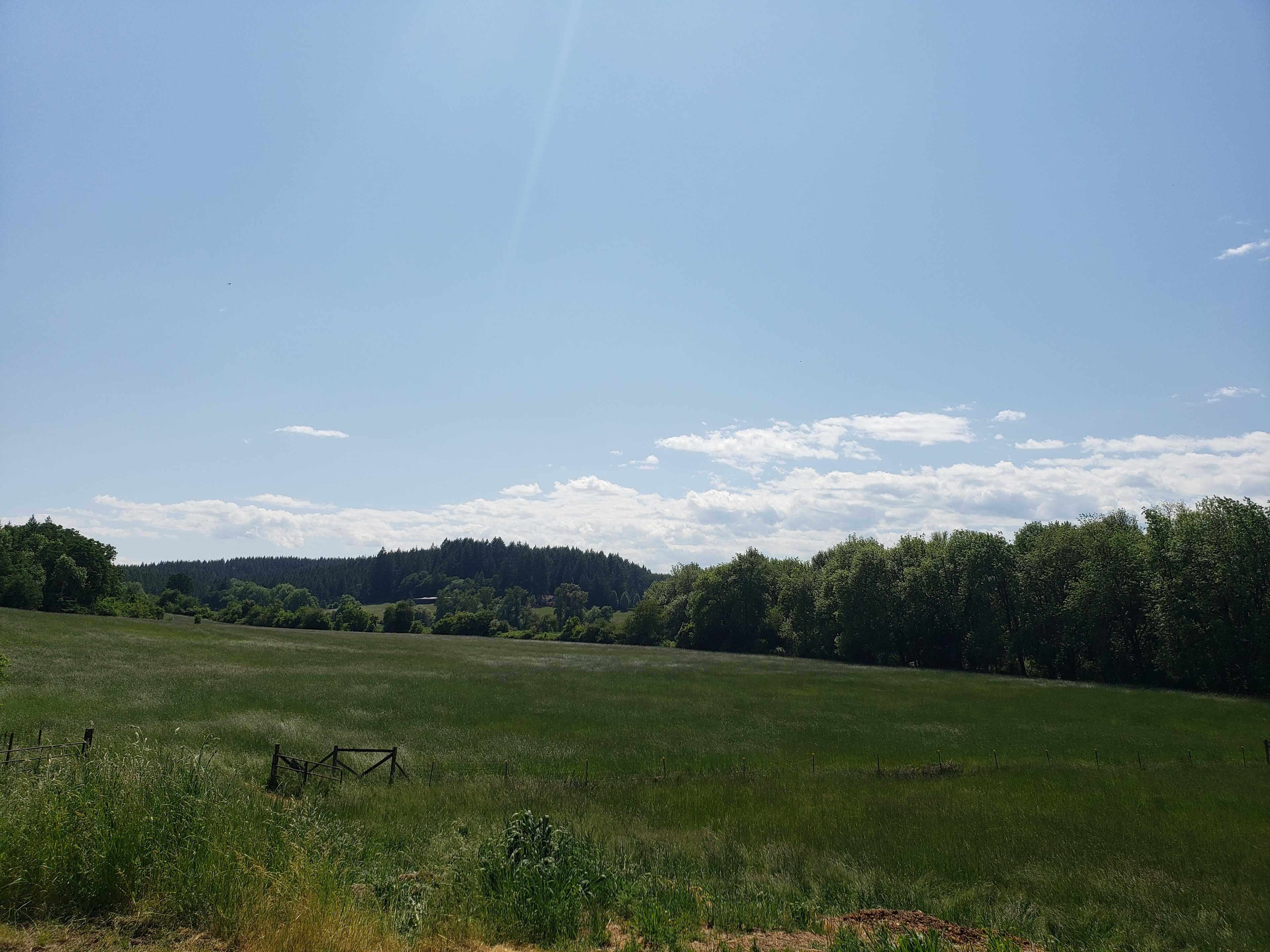 Circle C Farm