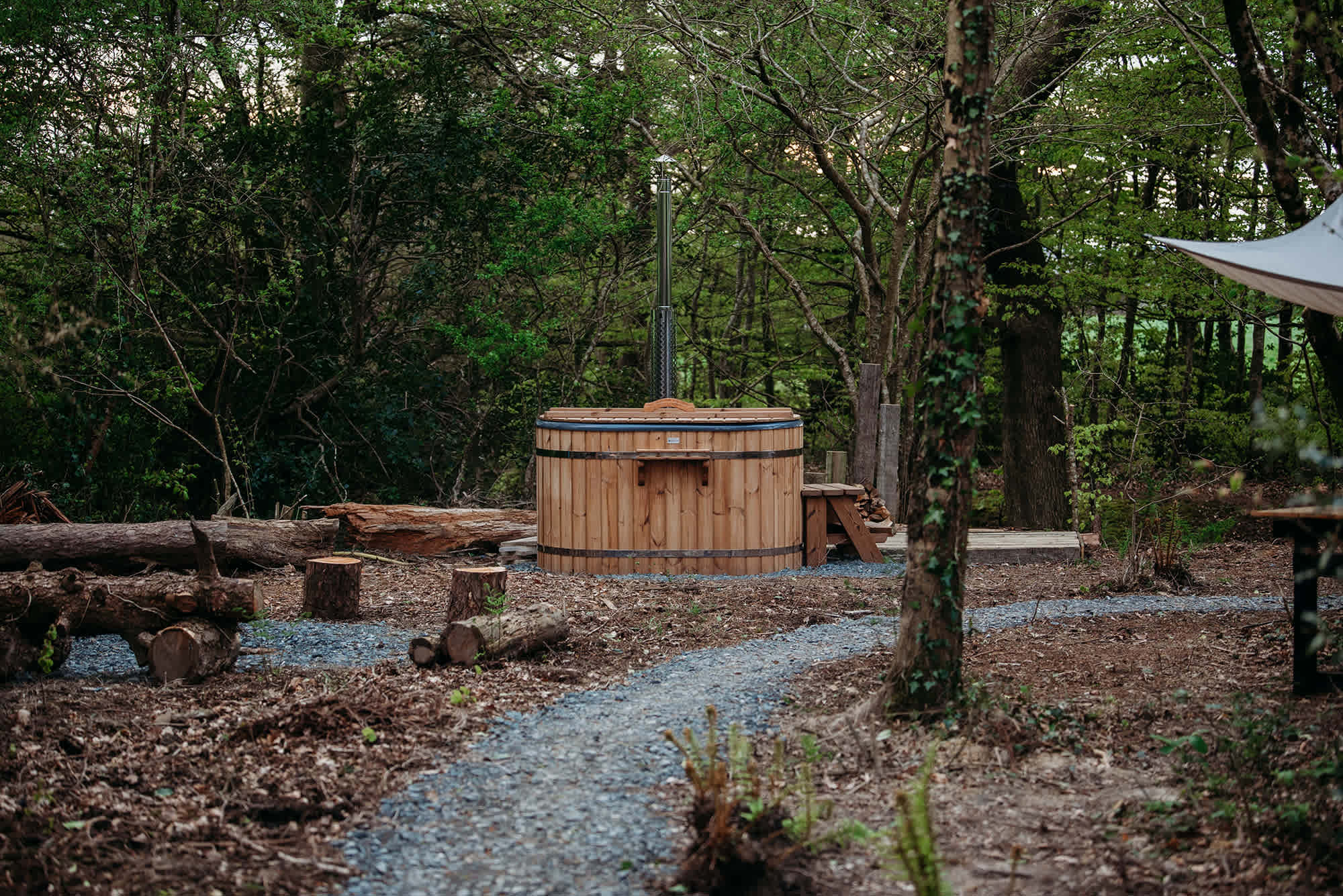 Private woodland in a shepherds hut