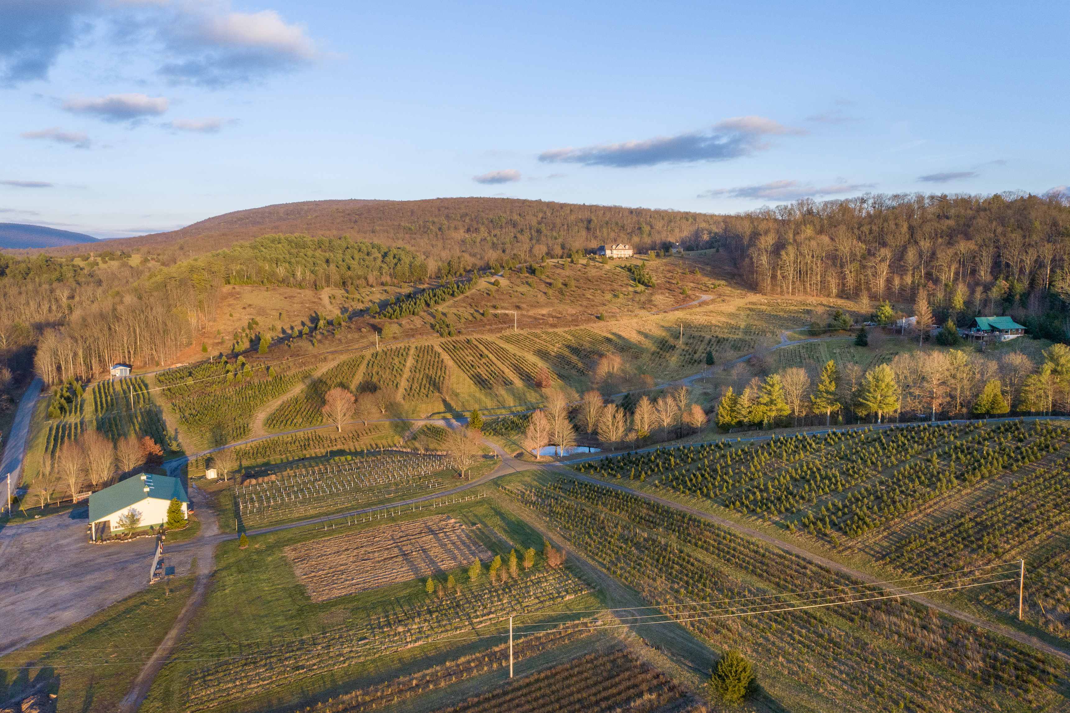 Tuckaway Tree Farm