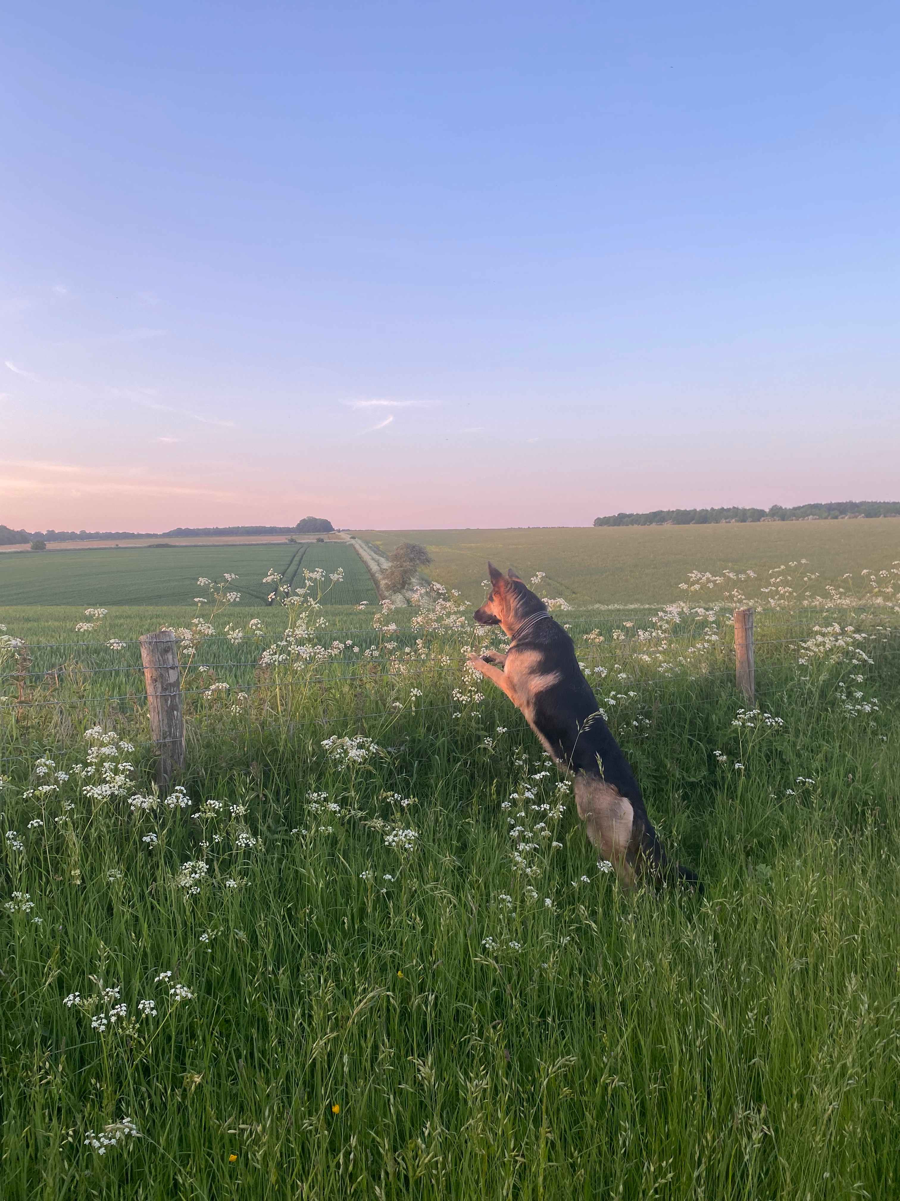 Wild Camping in the Cotswolds