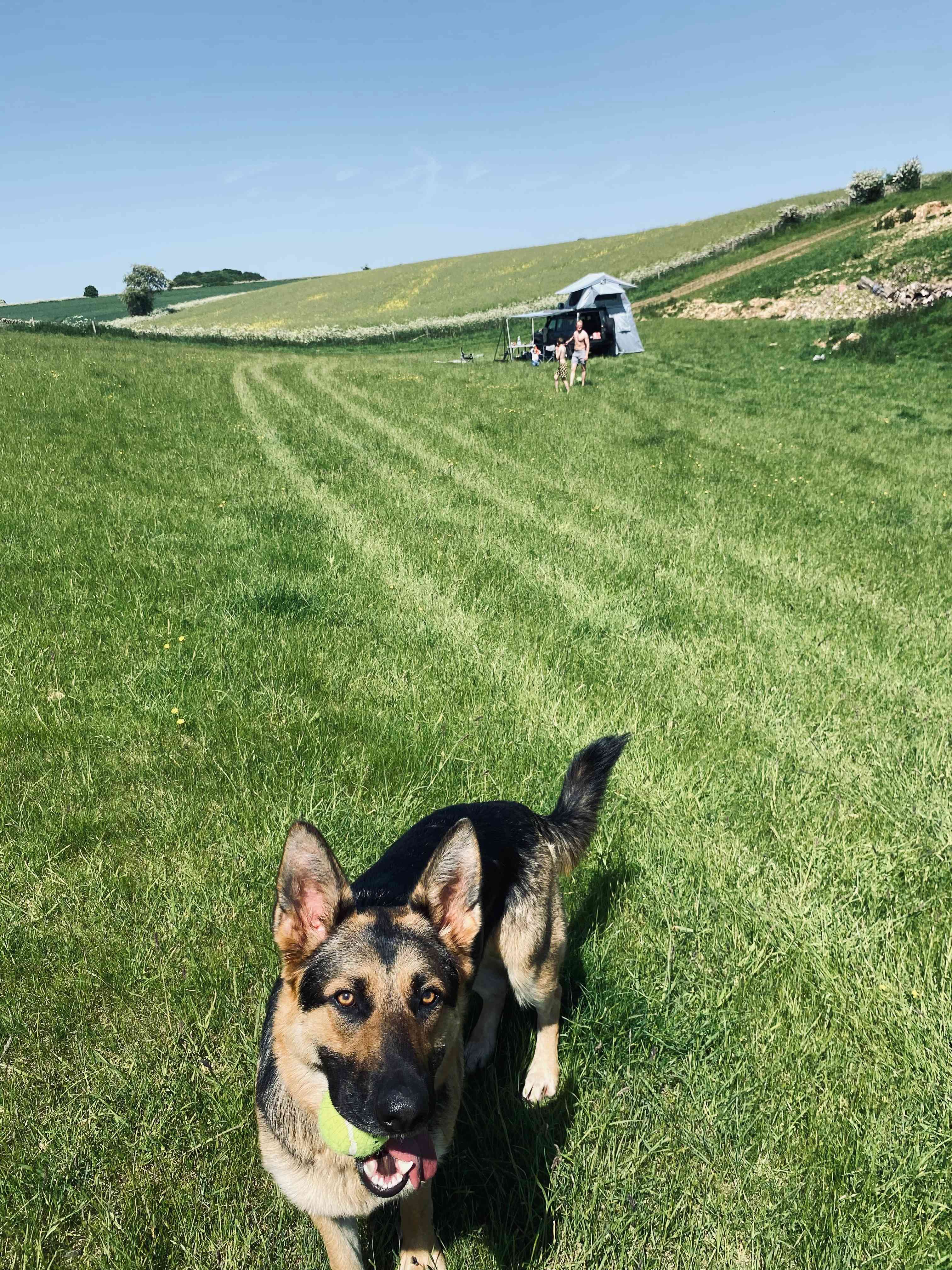 Wild Camping in the Cotswolds
