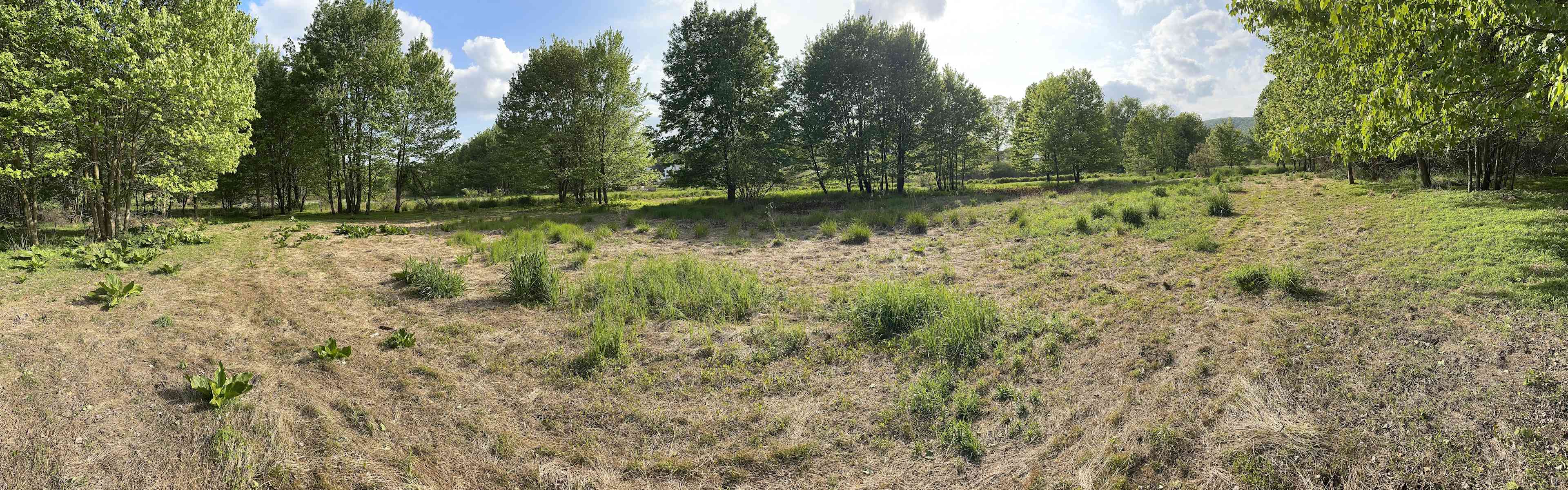 Blue Hill Acres