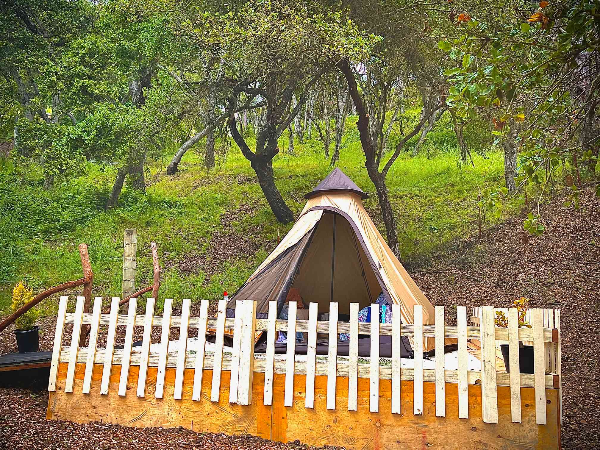 FEEL GOOD CAMP