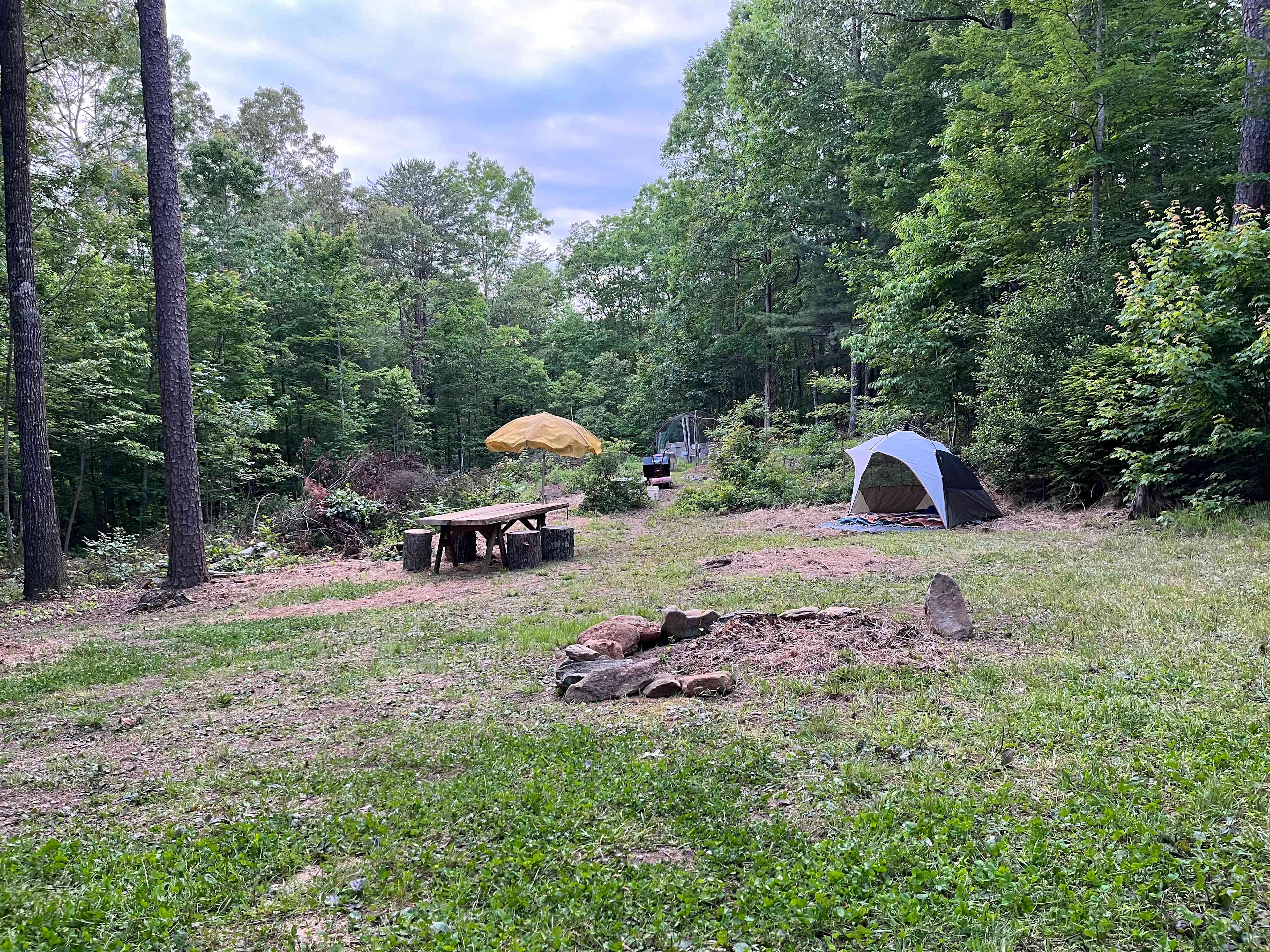 Tumble Down Shack