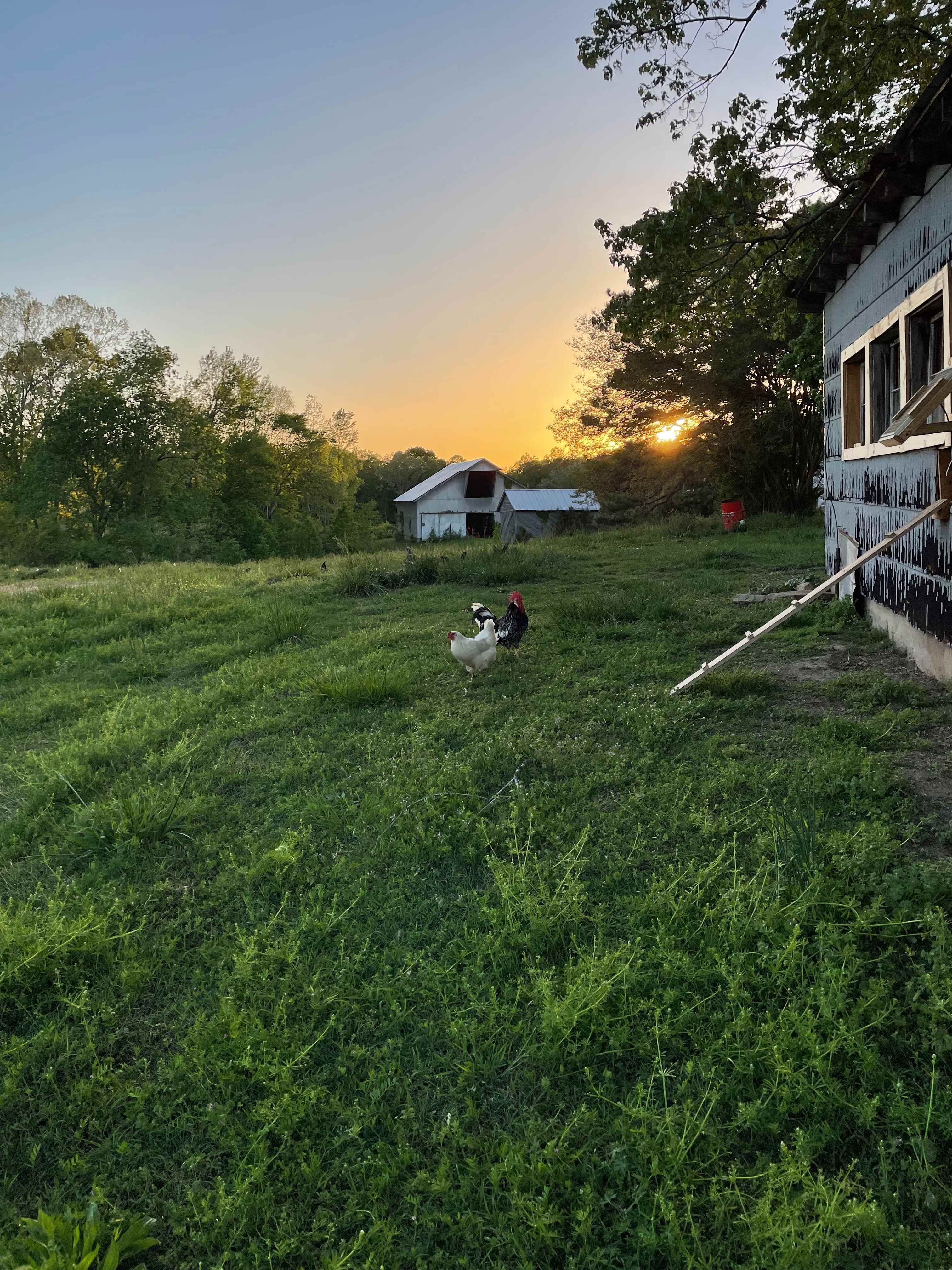 Bracey Farm